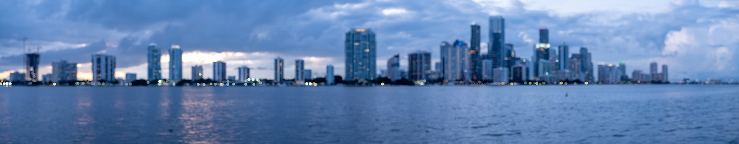 Miami Skyline #143191