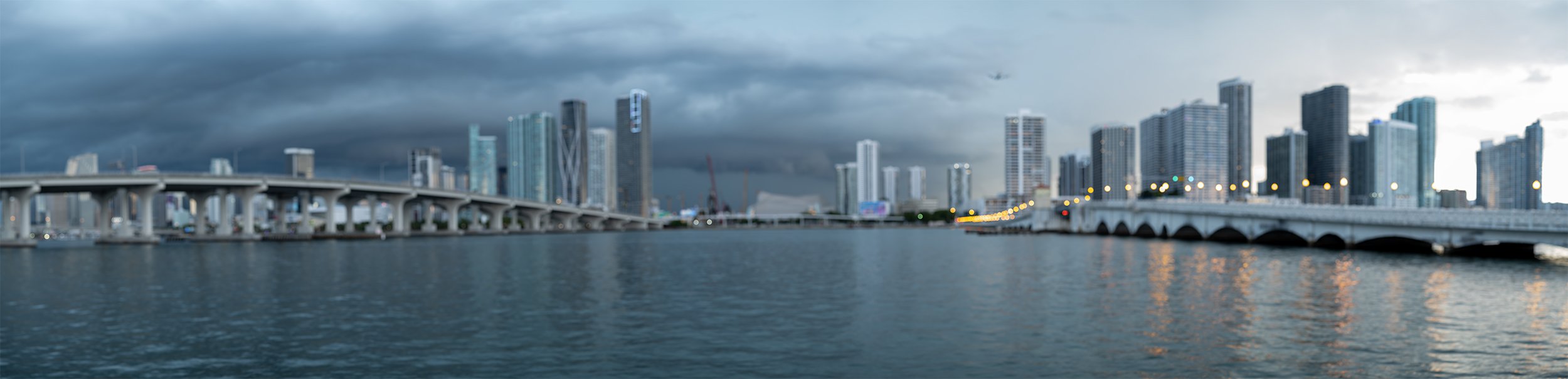 Miami Skyline #141918