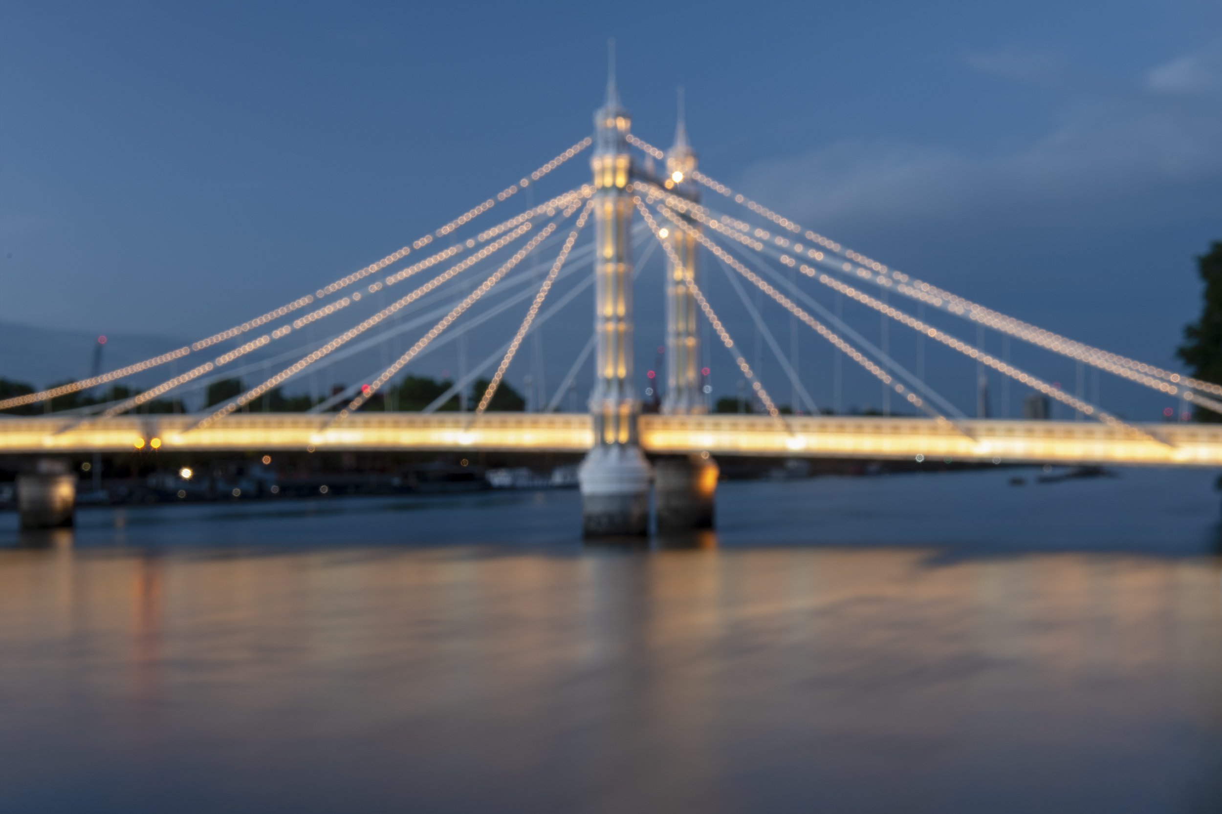 Albert Bridge #127640