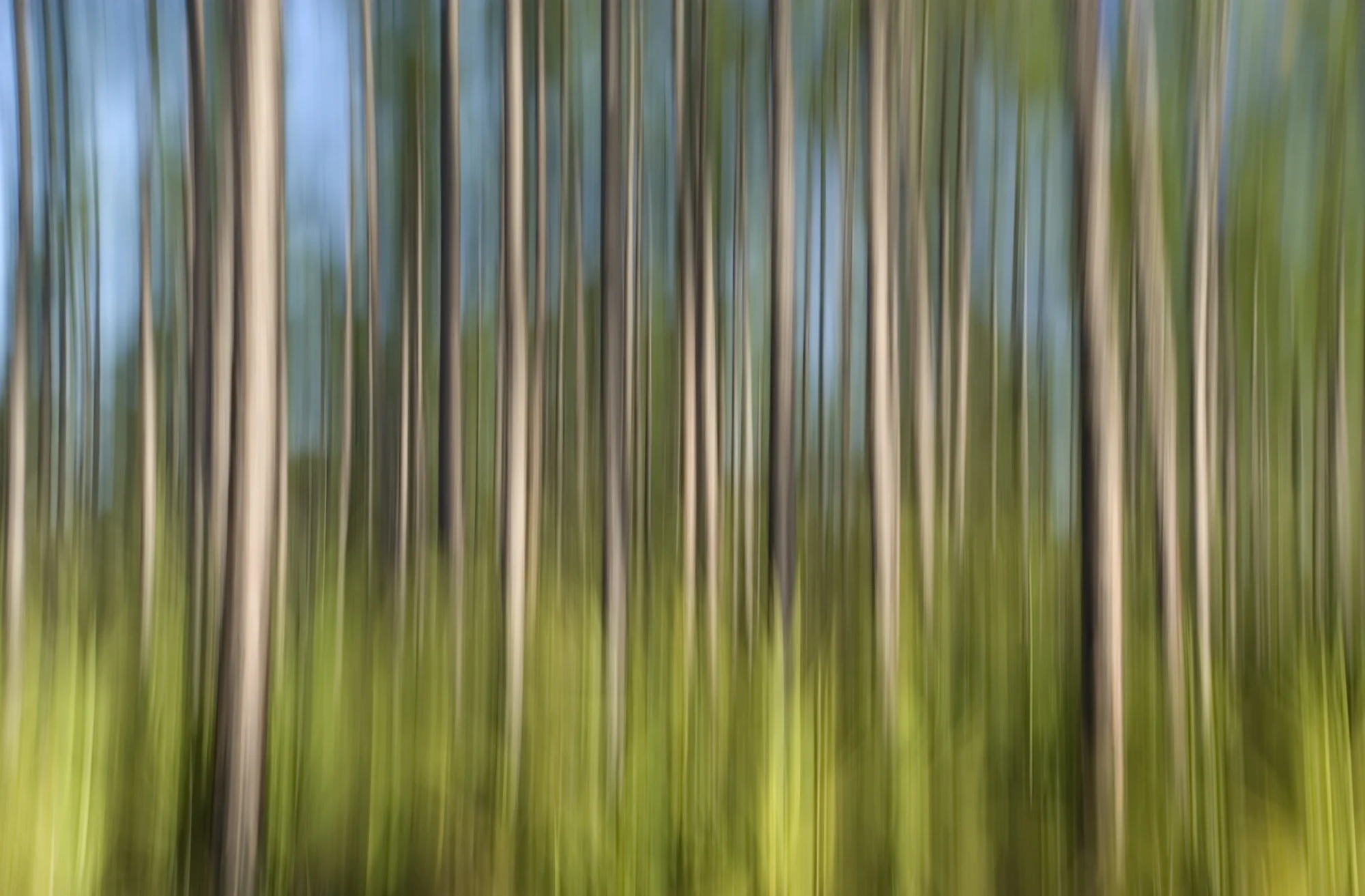 32784