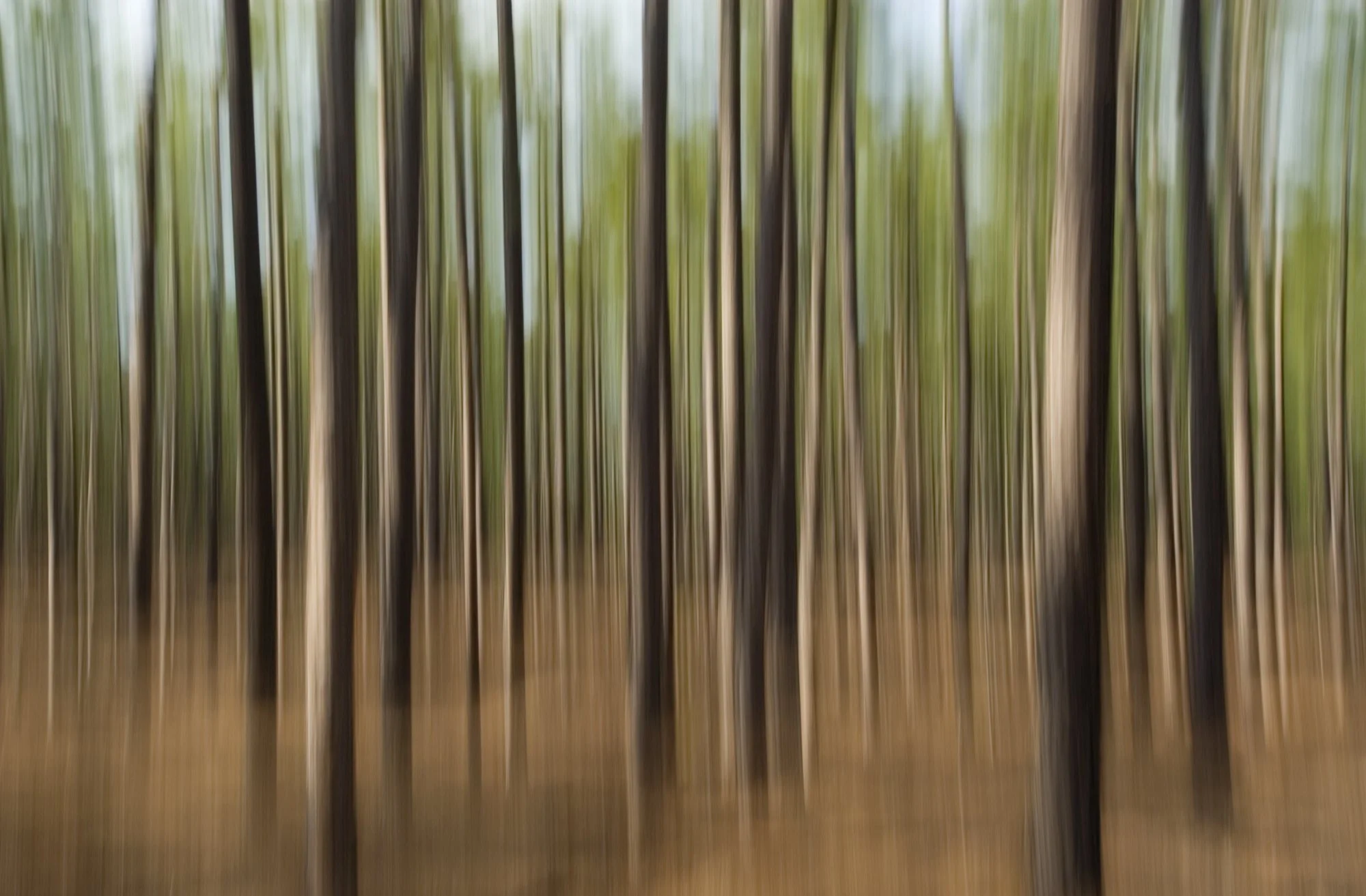 35664