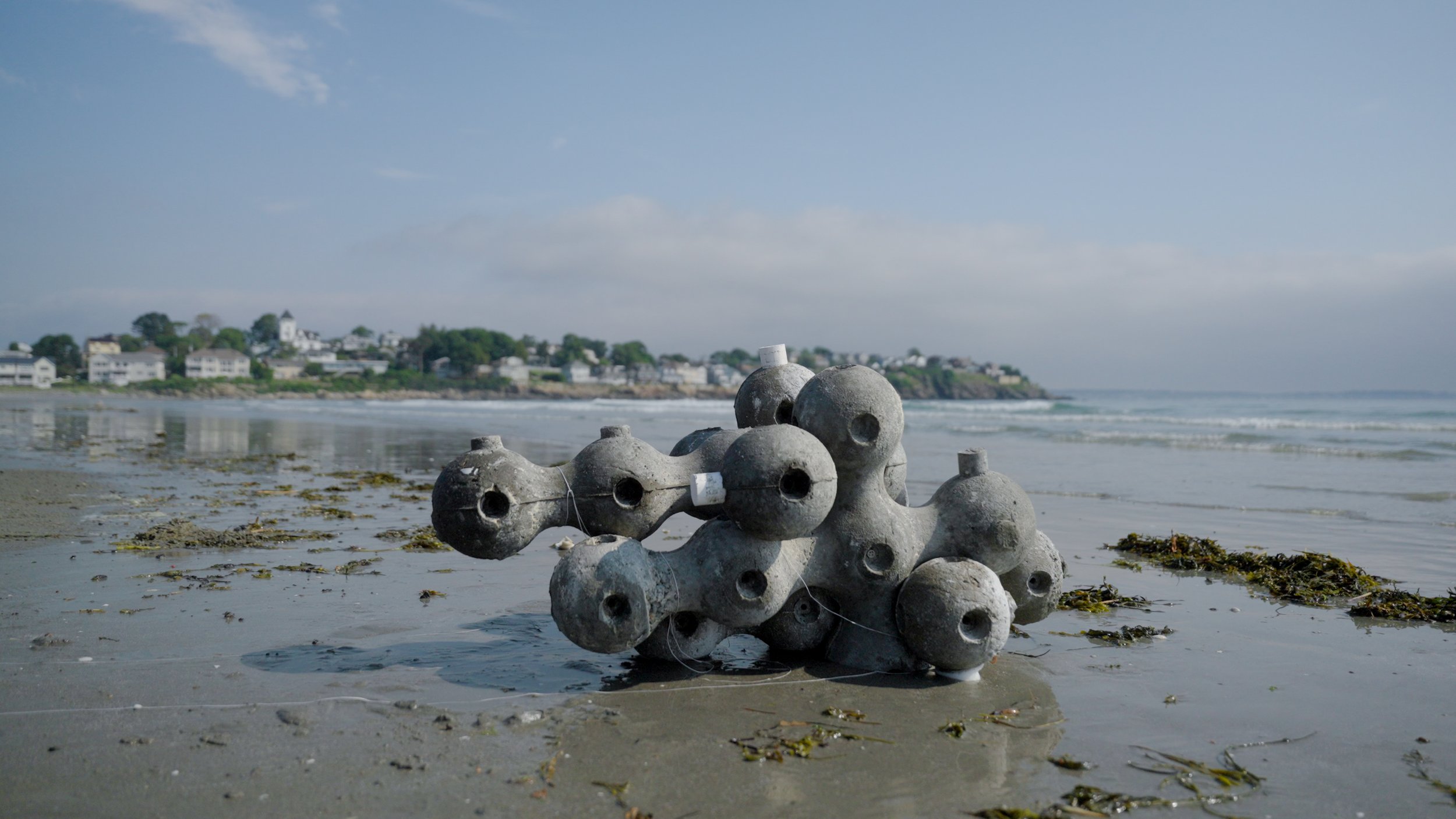 CreditLucieMcCormick_Nahant_SAL-2.jpg