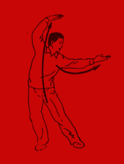 Shibashi-set-1.png