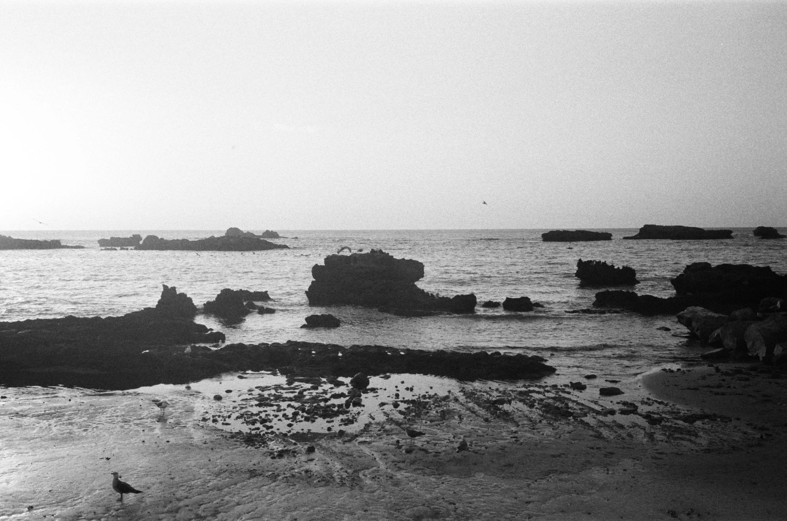 0012_11.jpg