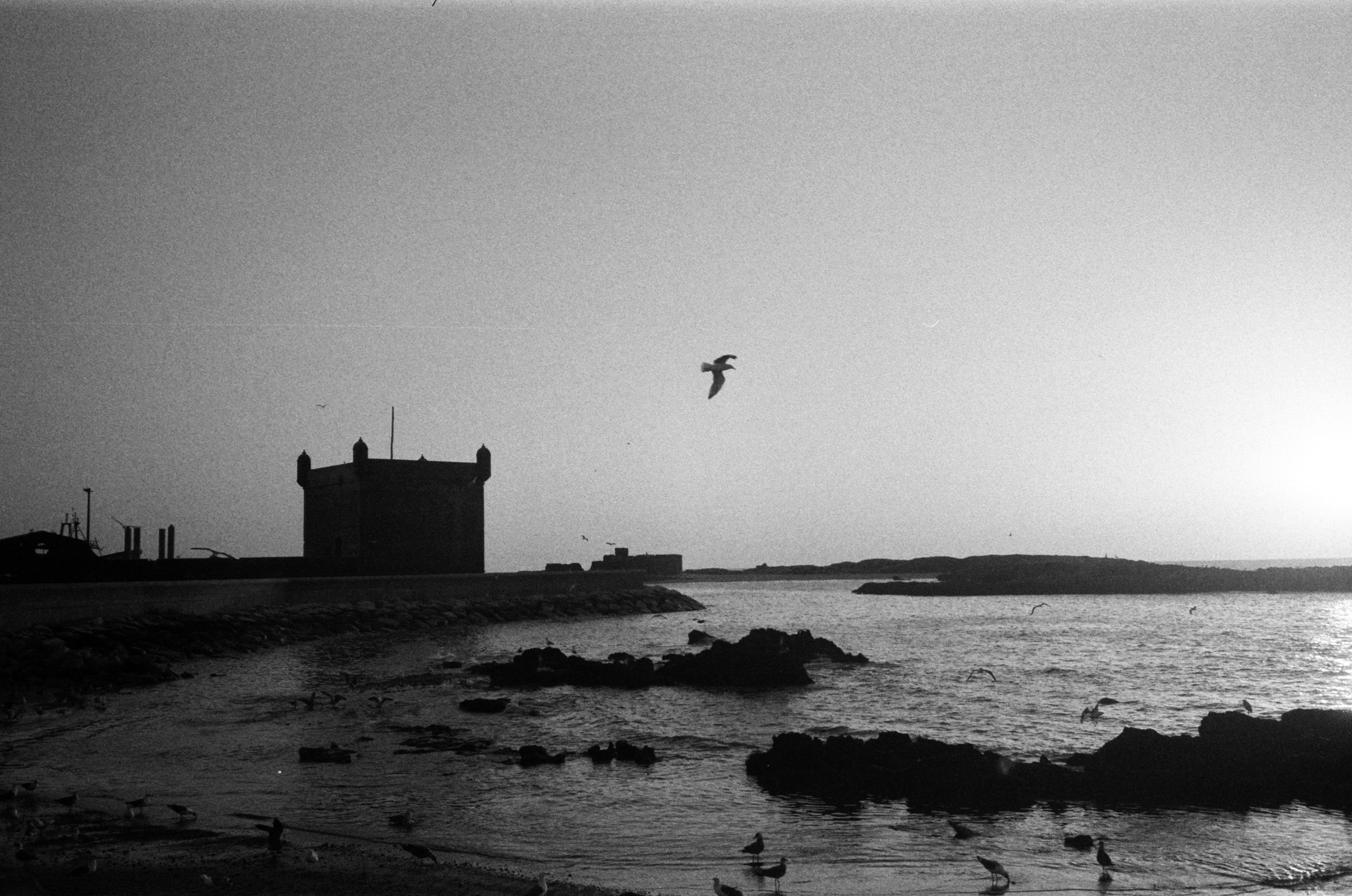 0013_12.jpg