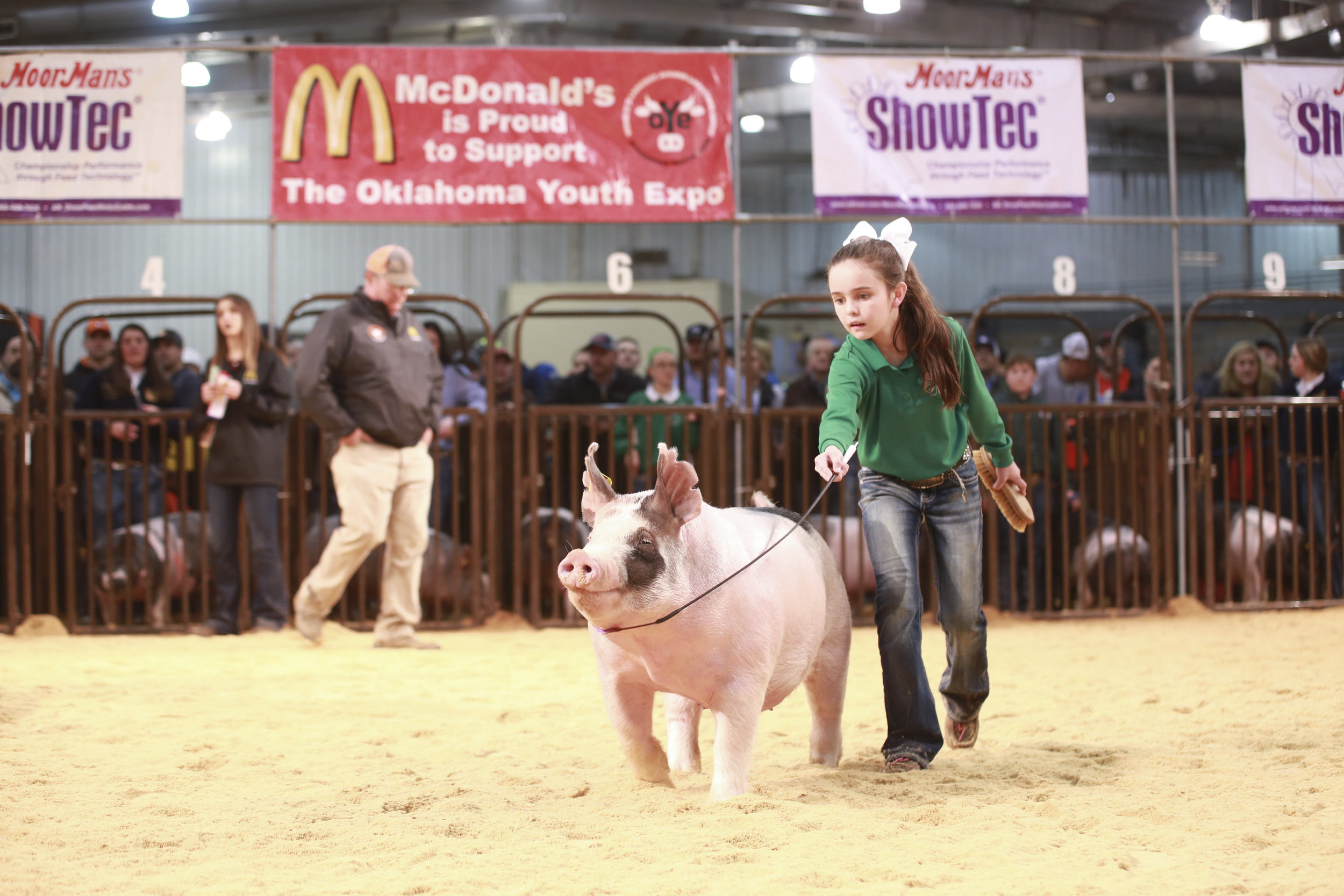 Trogdon-Show-Pigs_Mar10.jpg