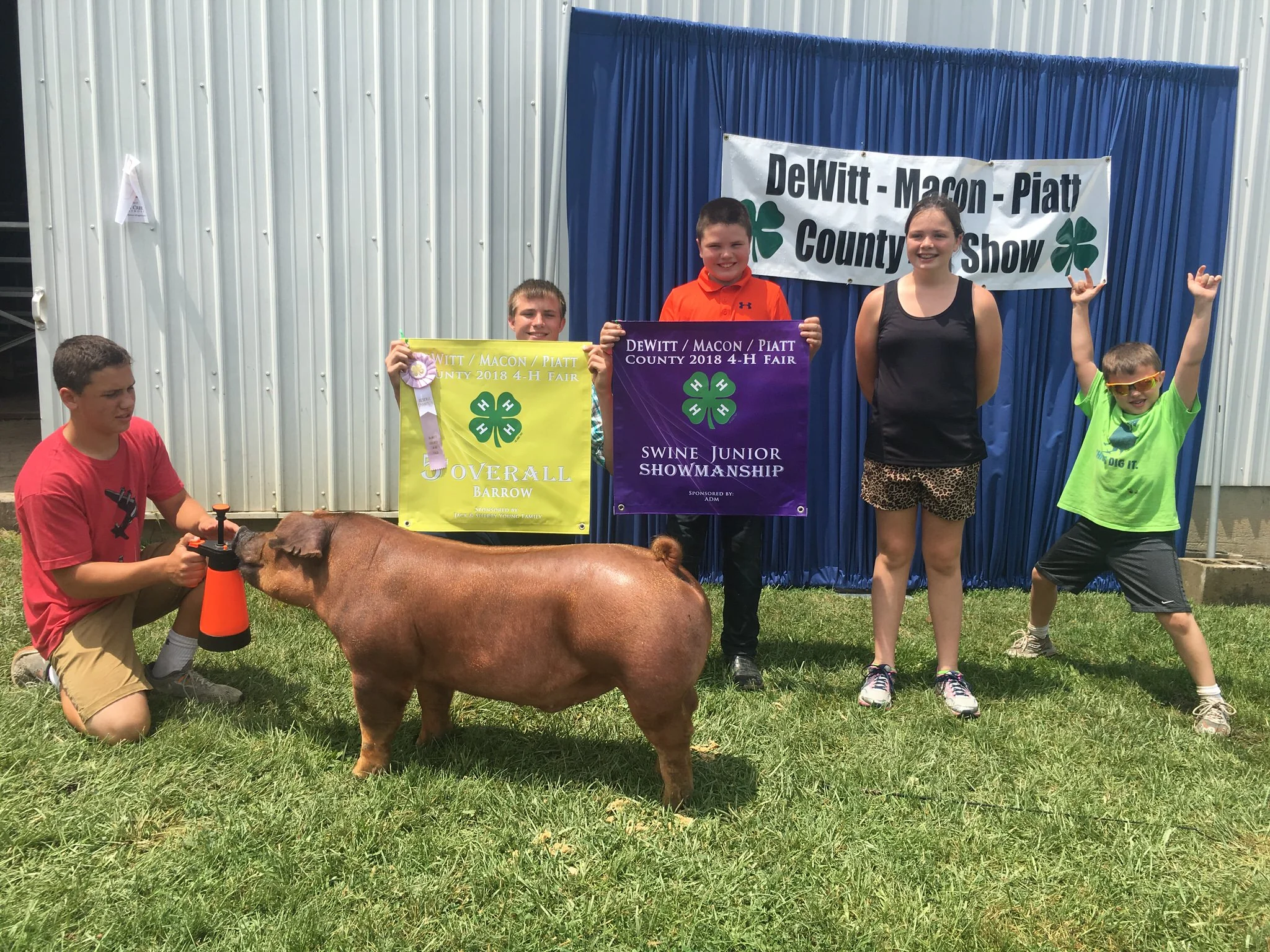 5th Overall Barrow | DeWit - Macon- Piatt County Show 2018