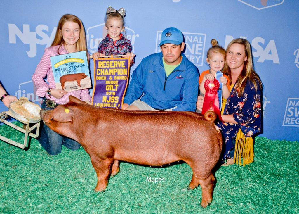 Reserve Division 1 Duroc Gilt | NJSS 2018