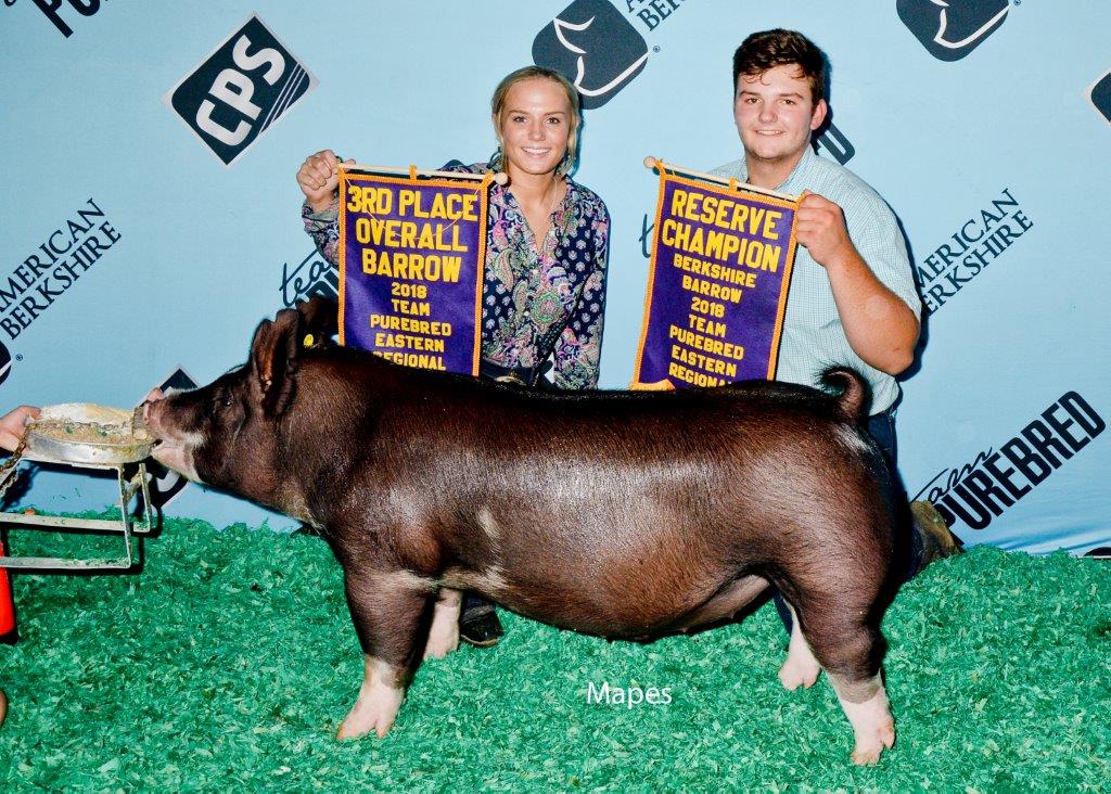 Reserve Berkshire Barrow, 3rd Overall | Team Purebred Eastern Regional 2018