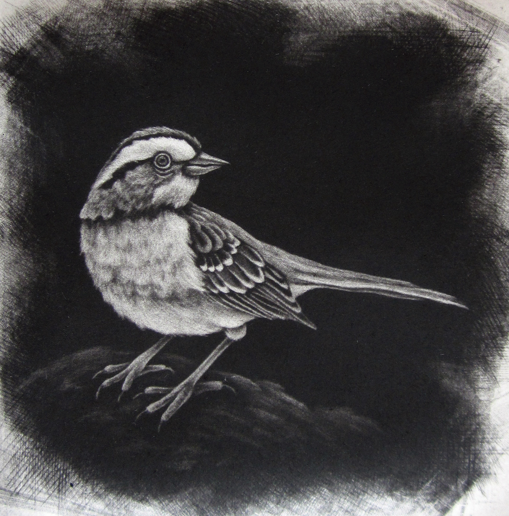 Solitude IX, mezzotint