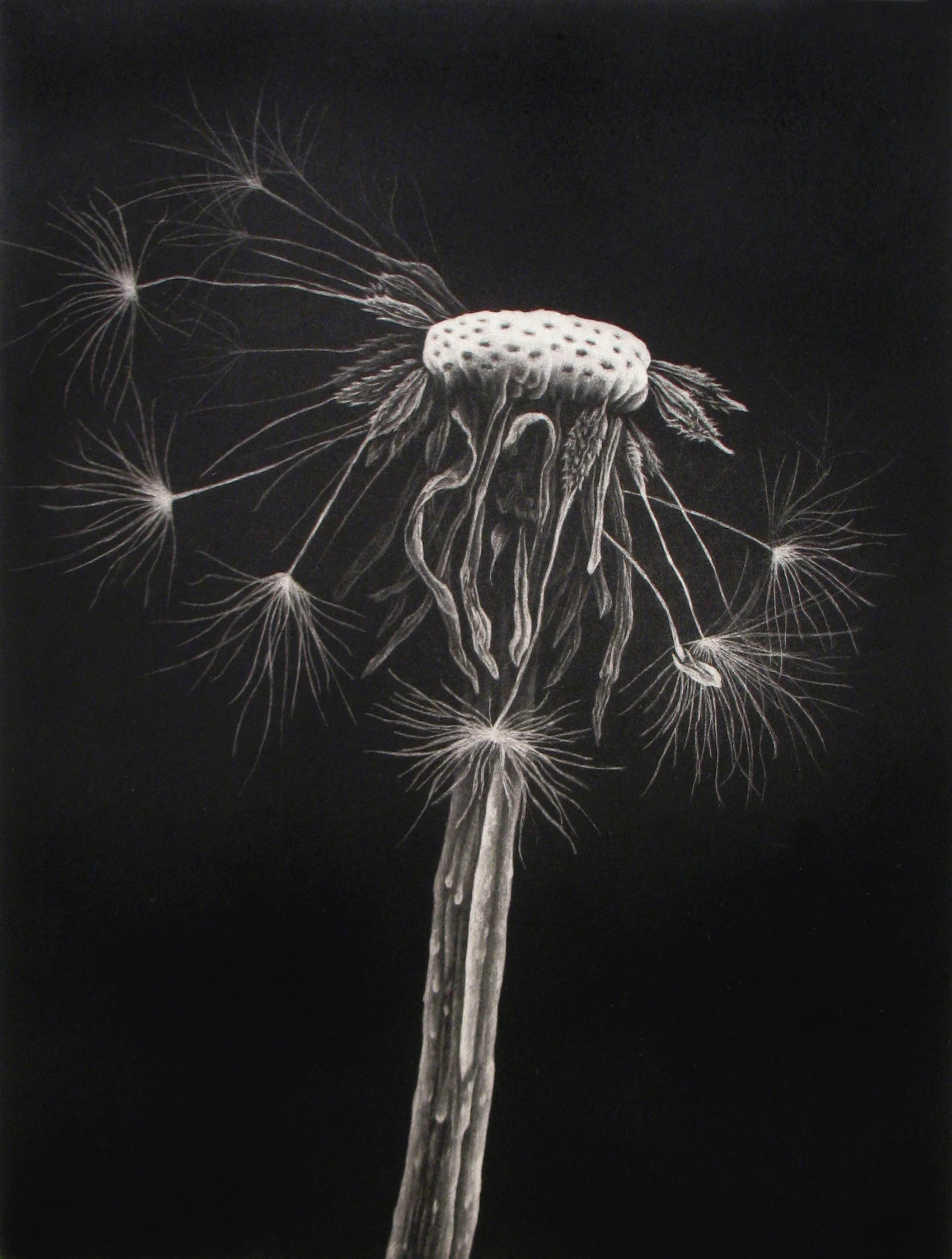 Dispersion, Mezzotint