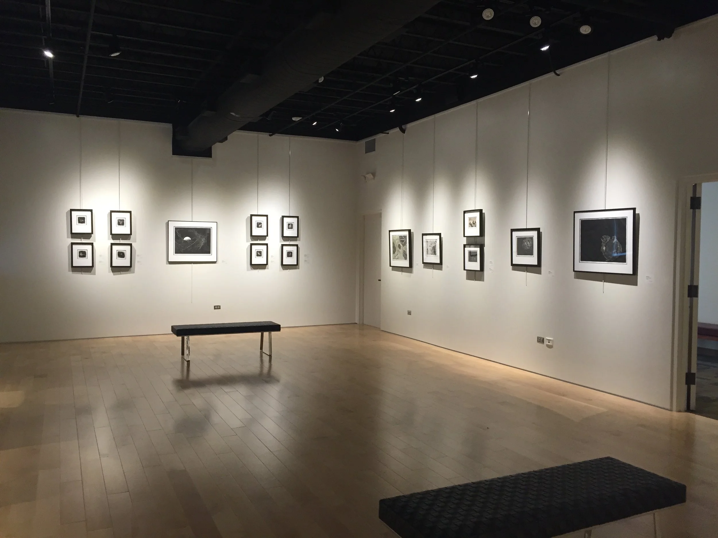 2016 solo show