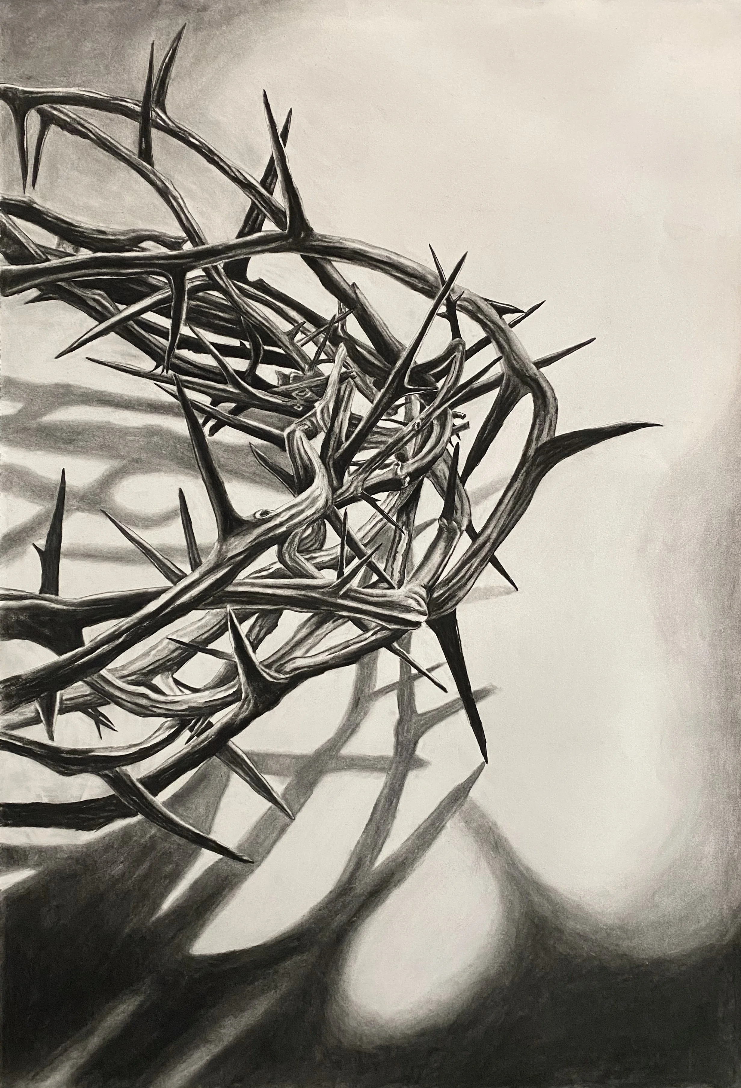 Crown of Thorns, charcoal