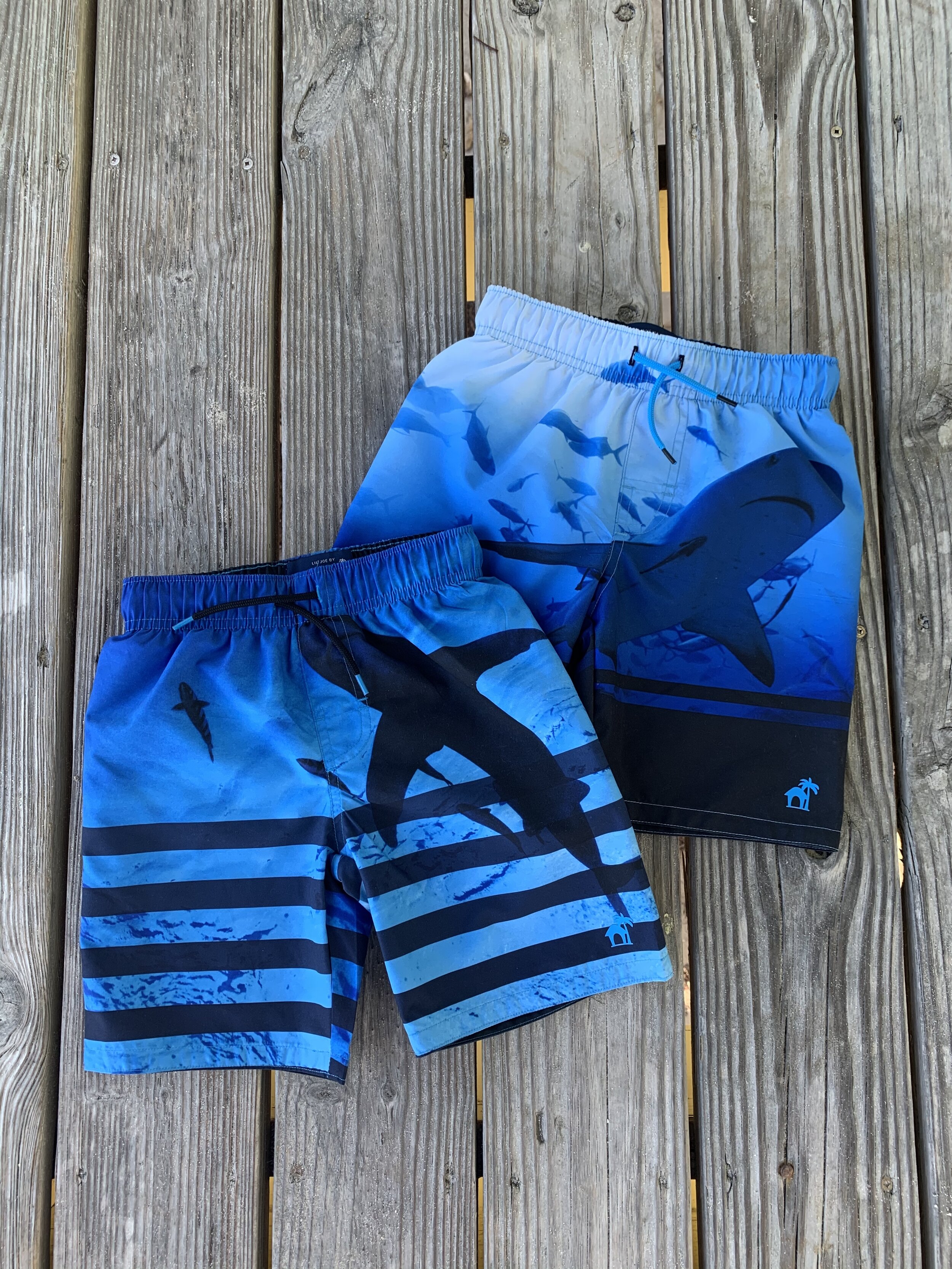 Boys Authentic Character 2 Piece Rash Guard and Swim Trunk Set UPF 50