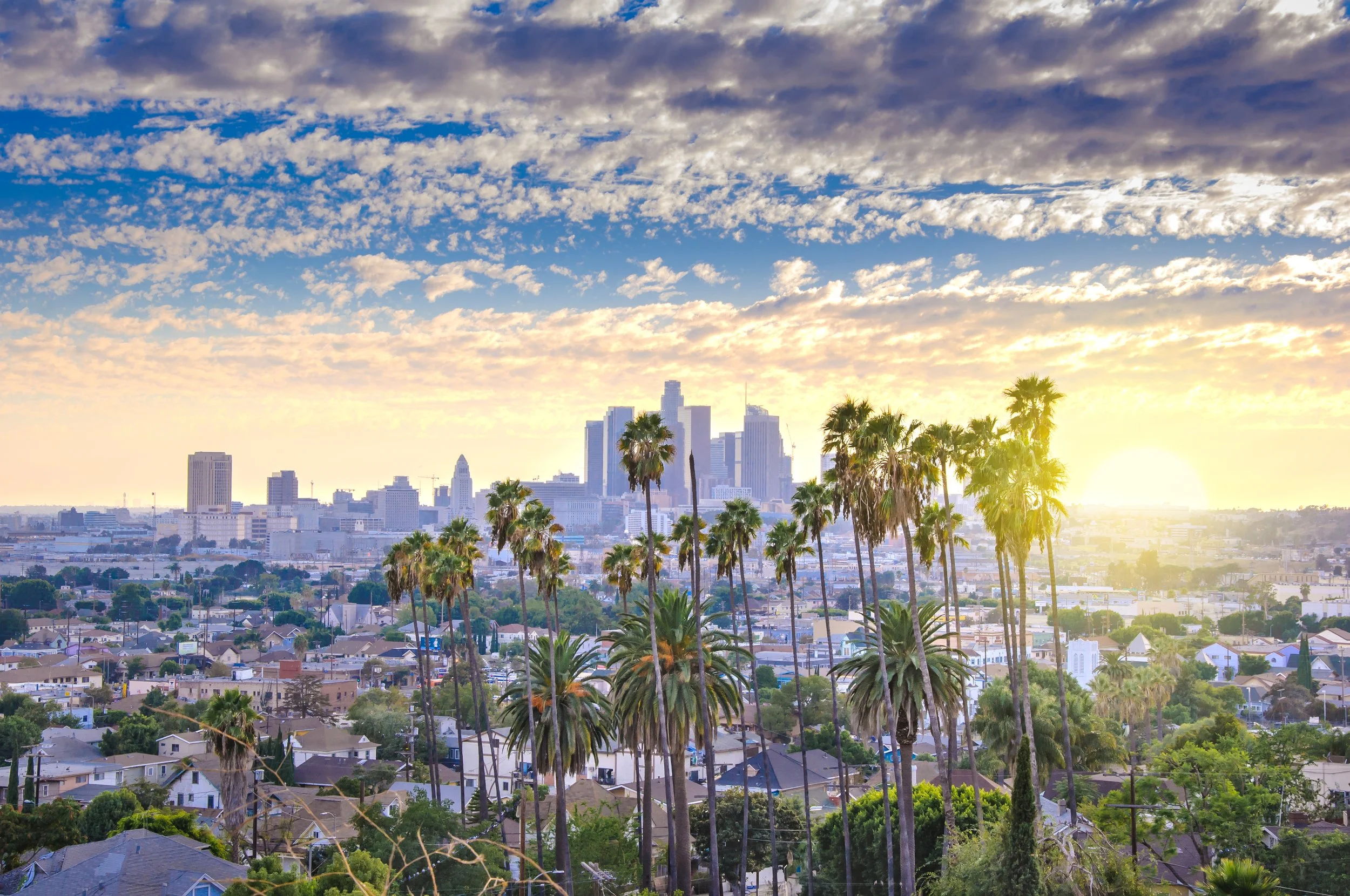 iStock-1036337124.jpg
