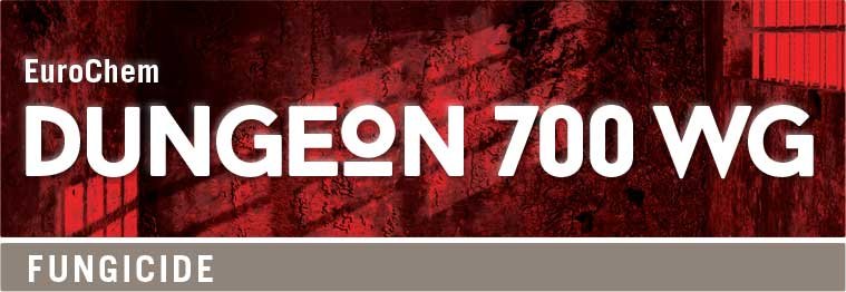 Dungeon-700WG-Fungicide-Logo.jpg