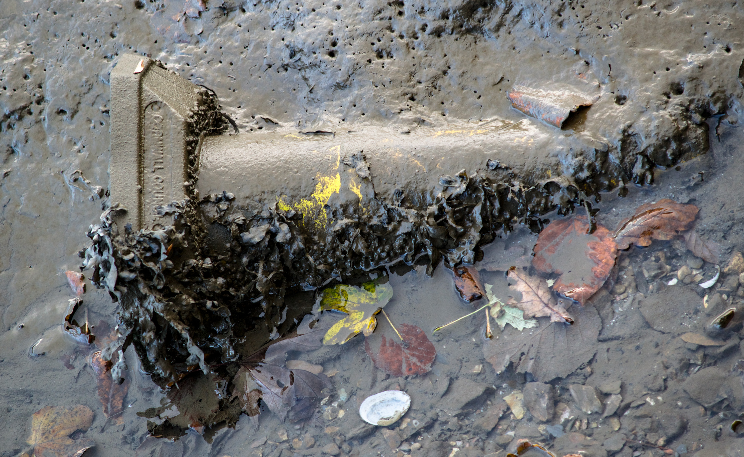 Cone in mud