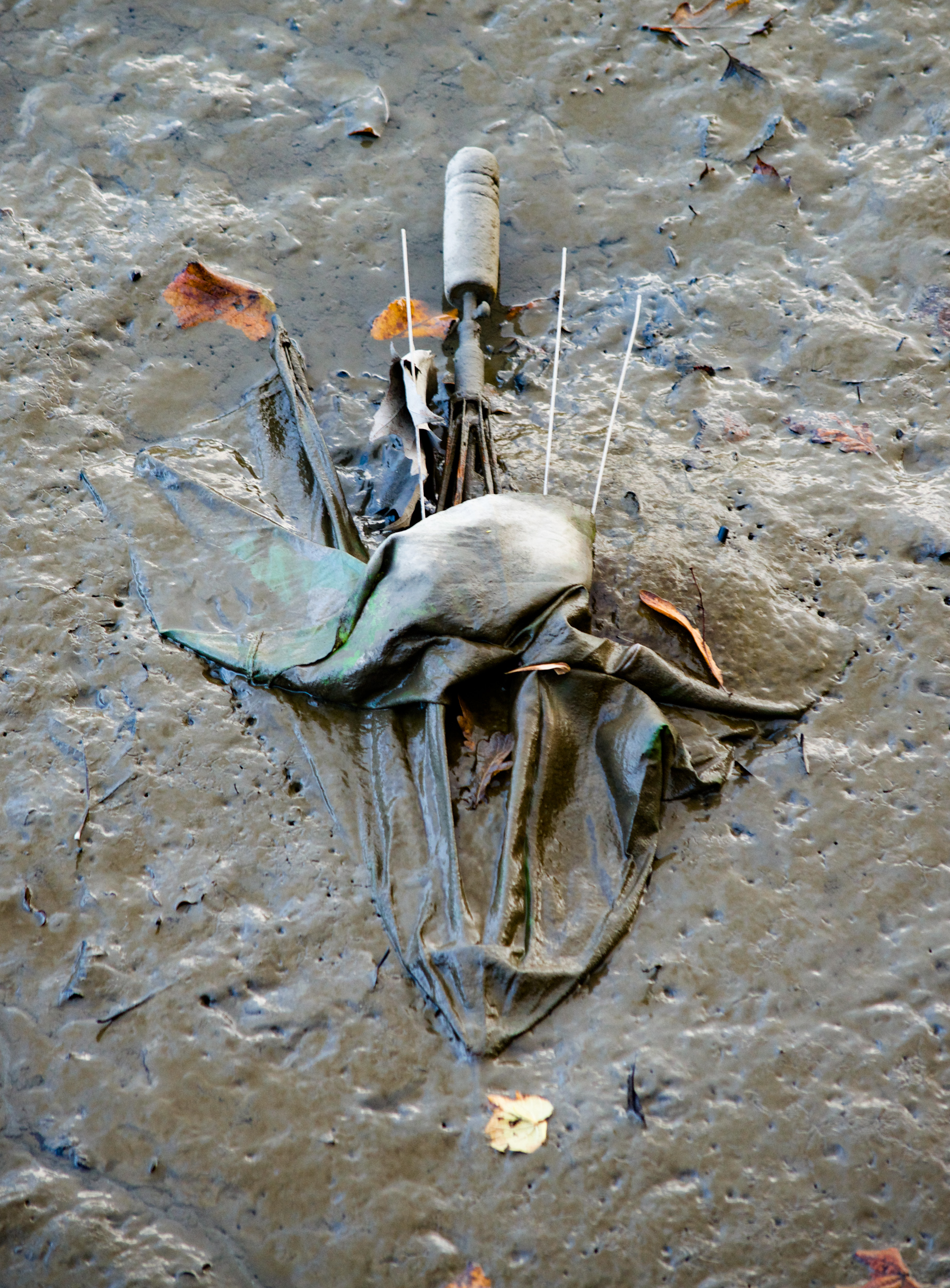 Umbrella in mud