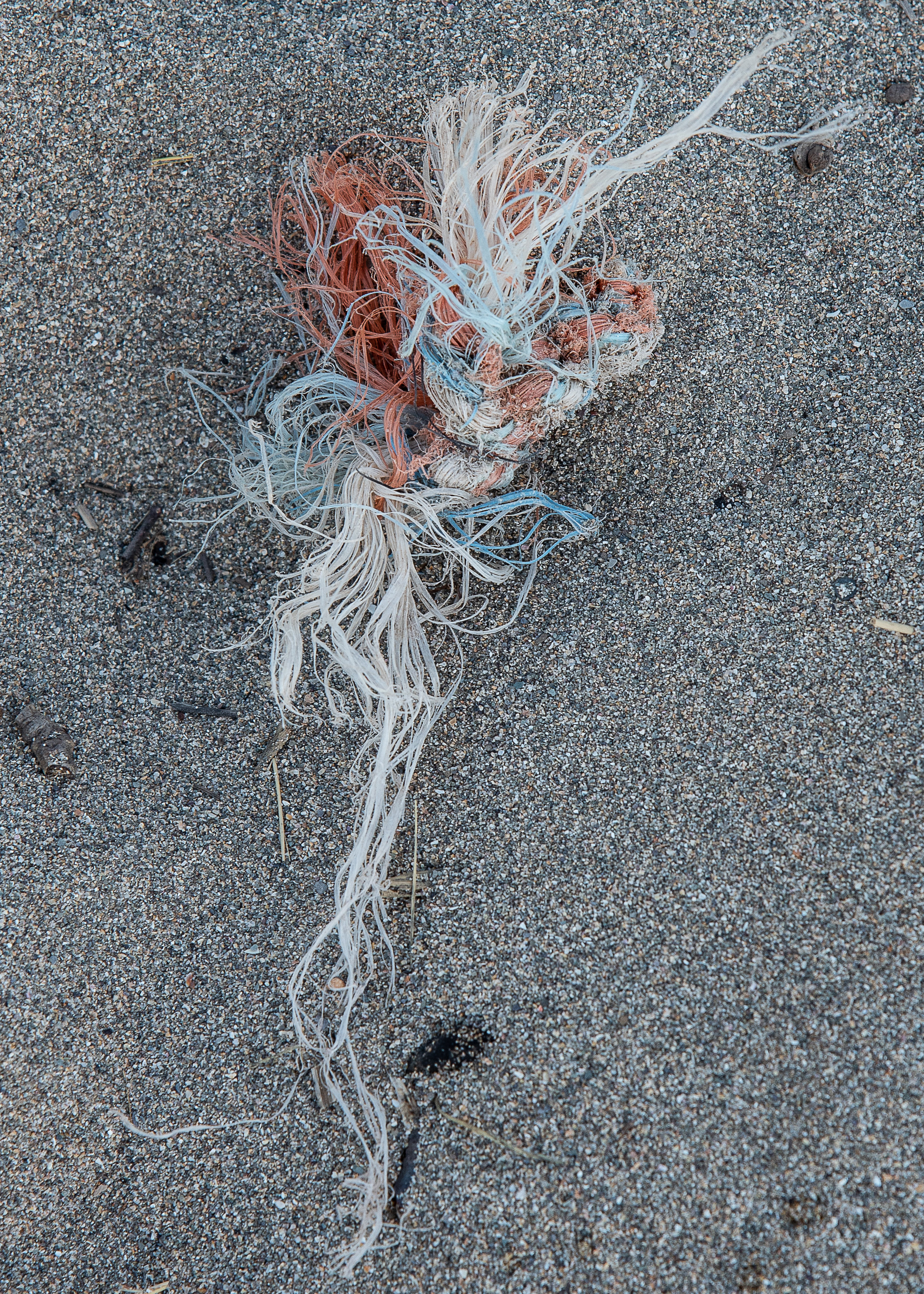 Knotted Rope