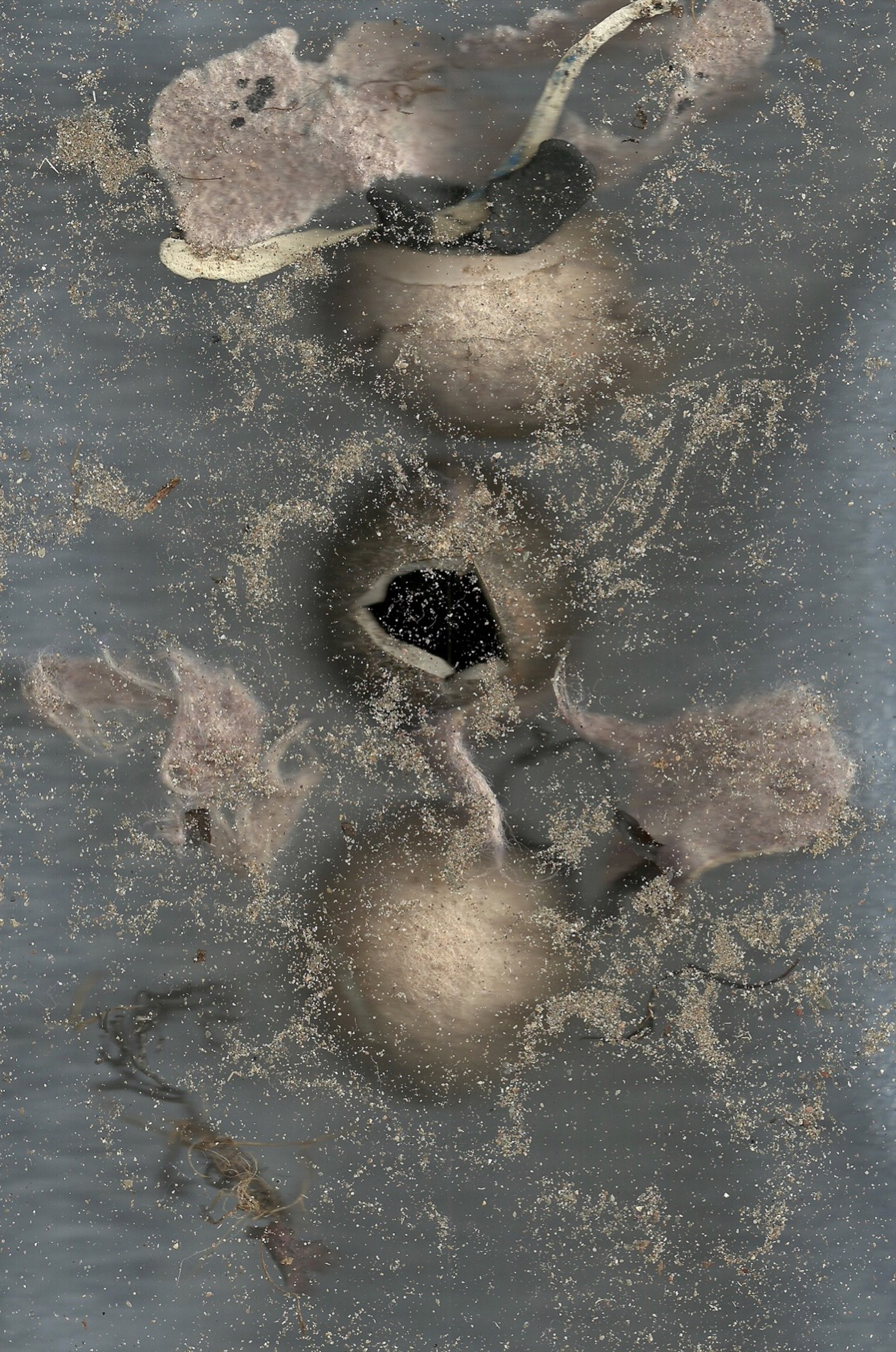 Disintegrated Tennis Balls