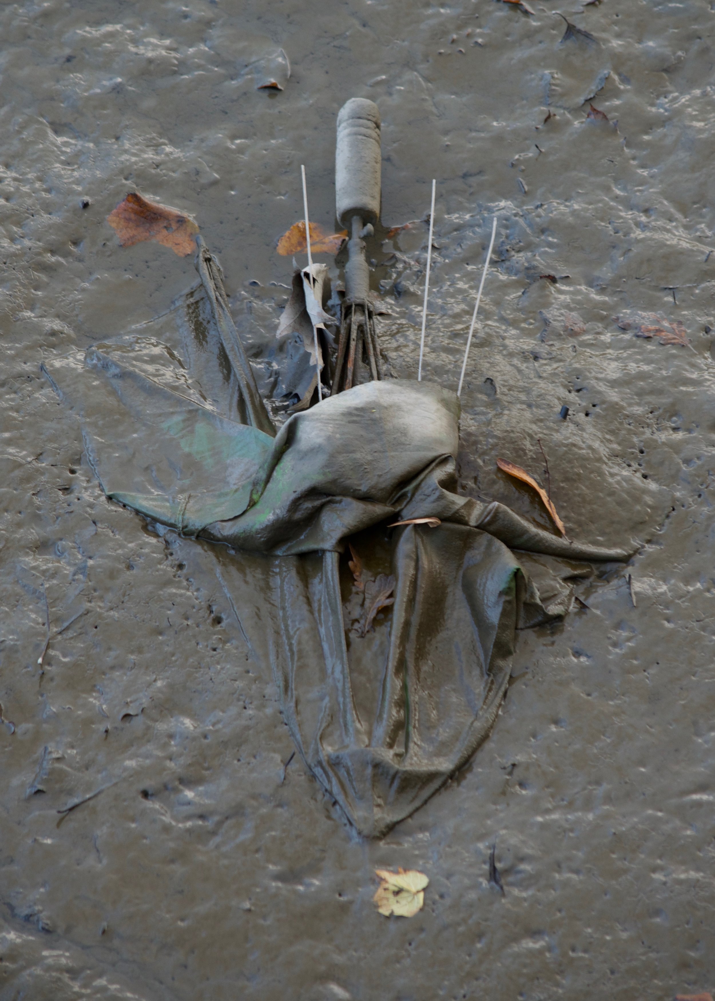 Abandoned Umbrella