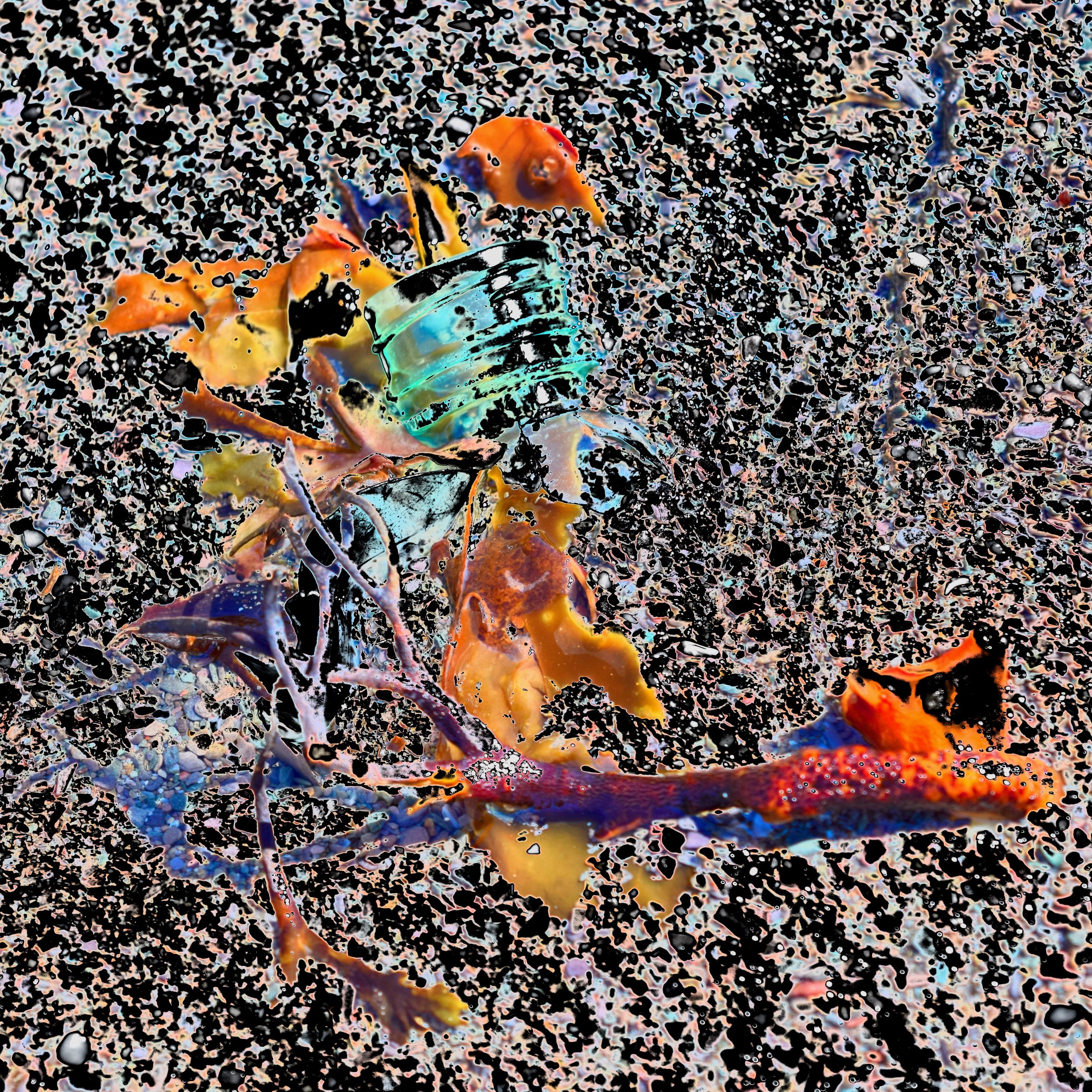 Abstracted Bottle Top