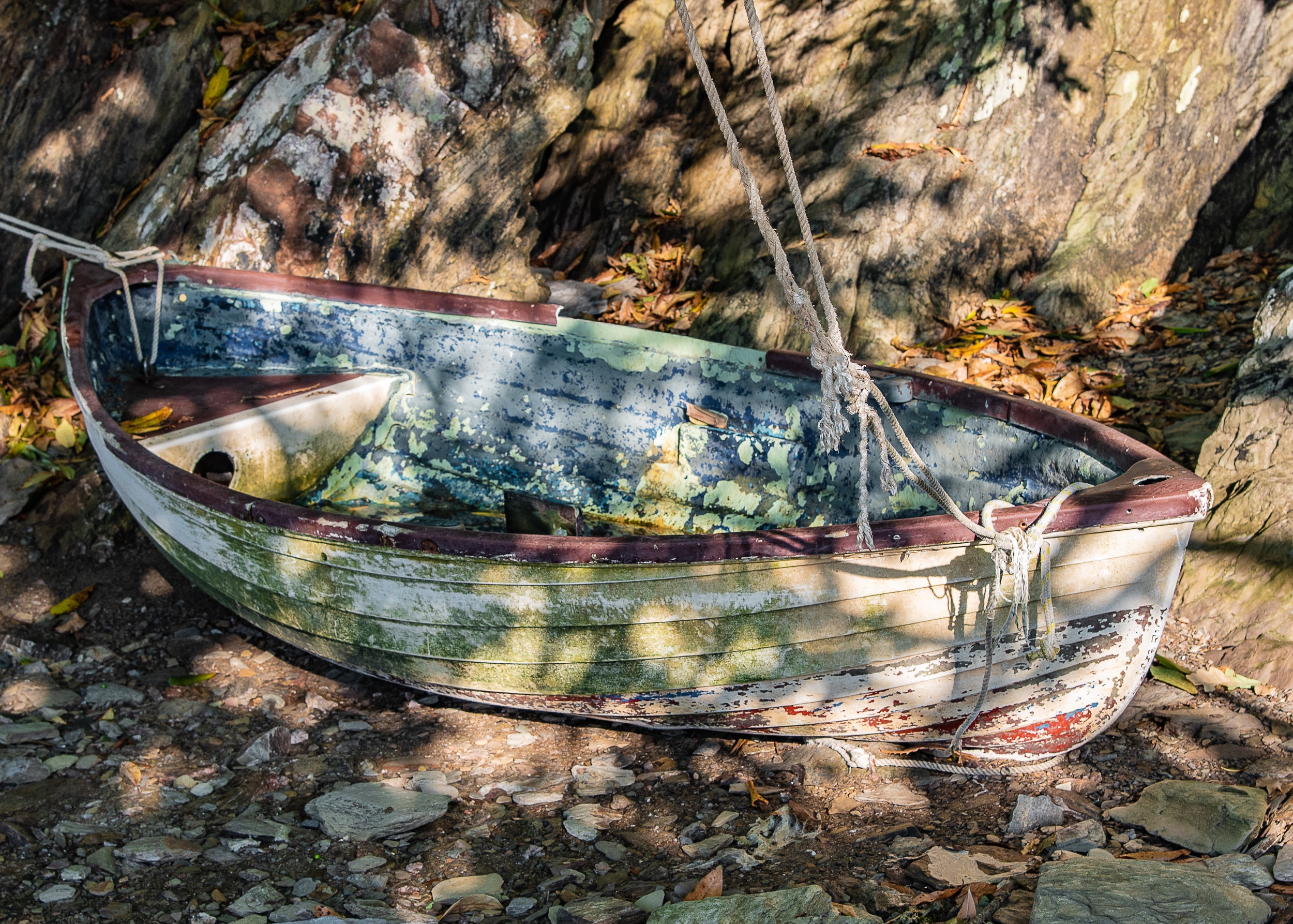 Rowing Boat
