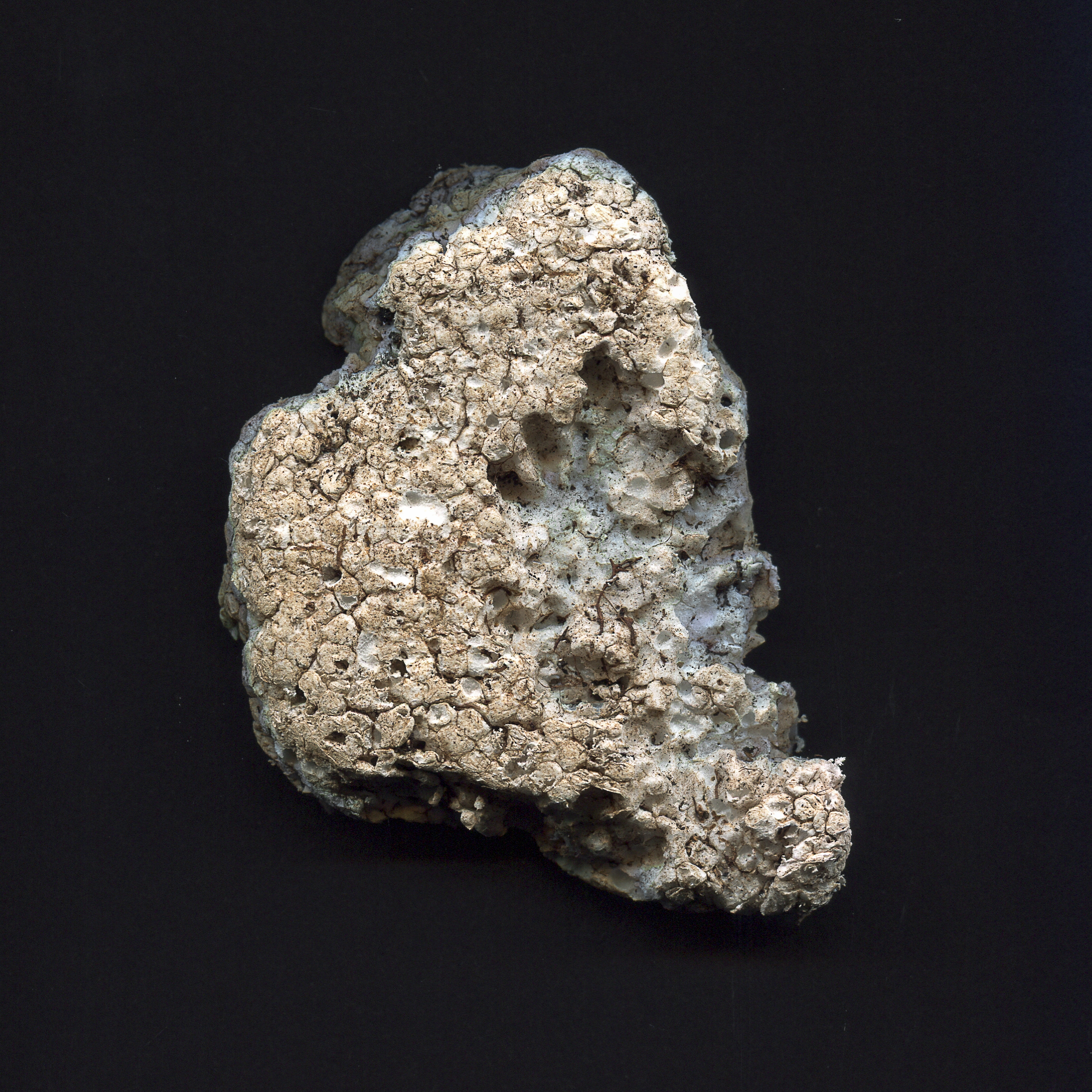Dark Matter- polystyrene 1.jpg