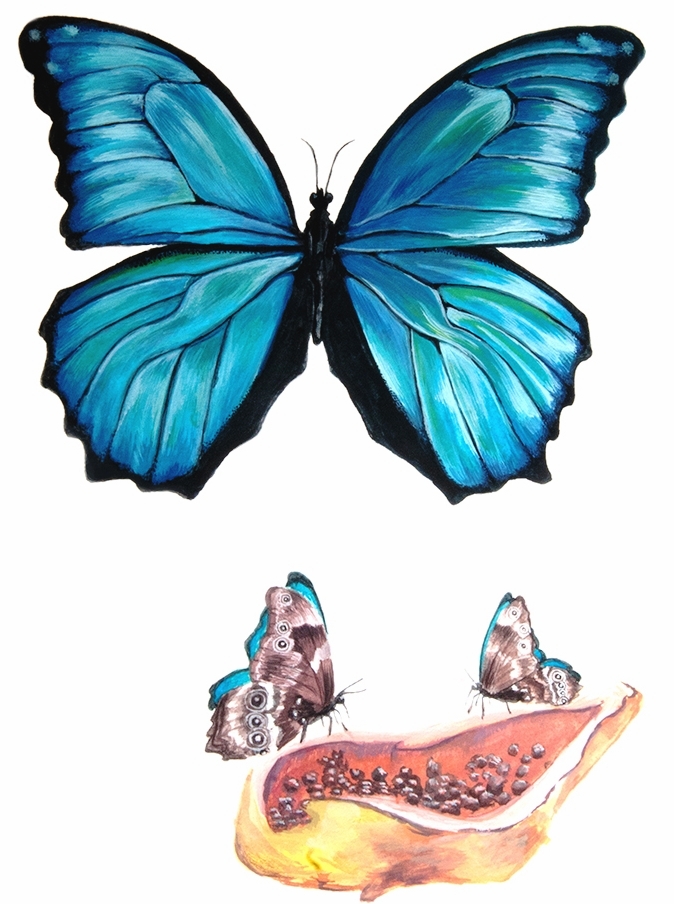 Blue Morpho