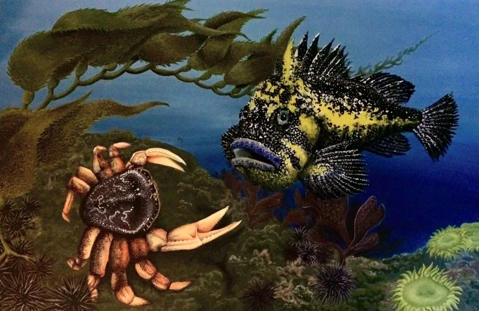 FishWise, a Santa Cruz based nonprofit dedicated to promoting sustainable fishing practices, commissioned this piece for their business. You can learn more about them and their awesome organization at www.fishwise.org . 