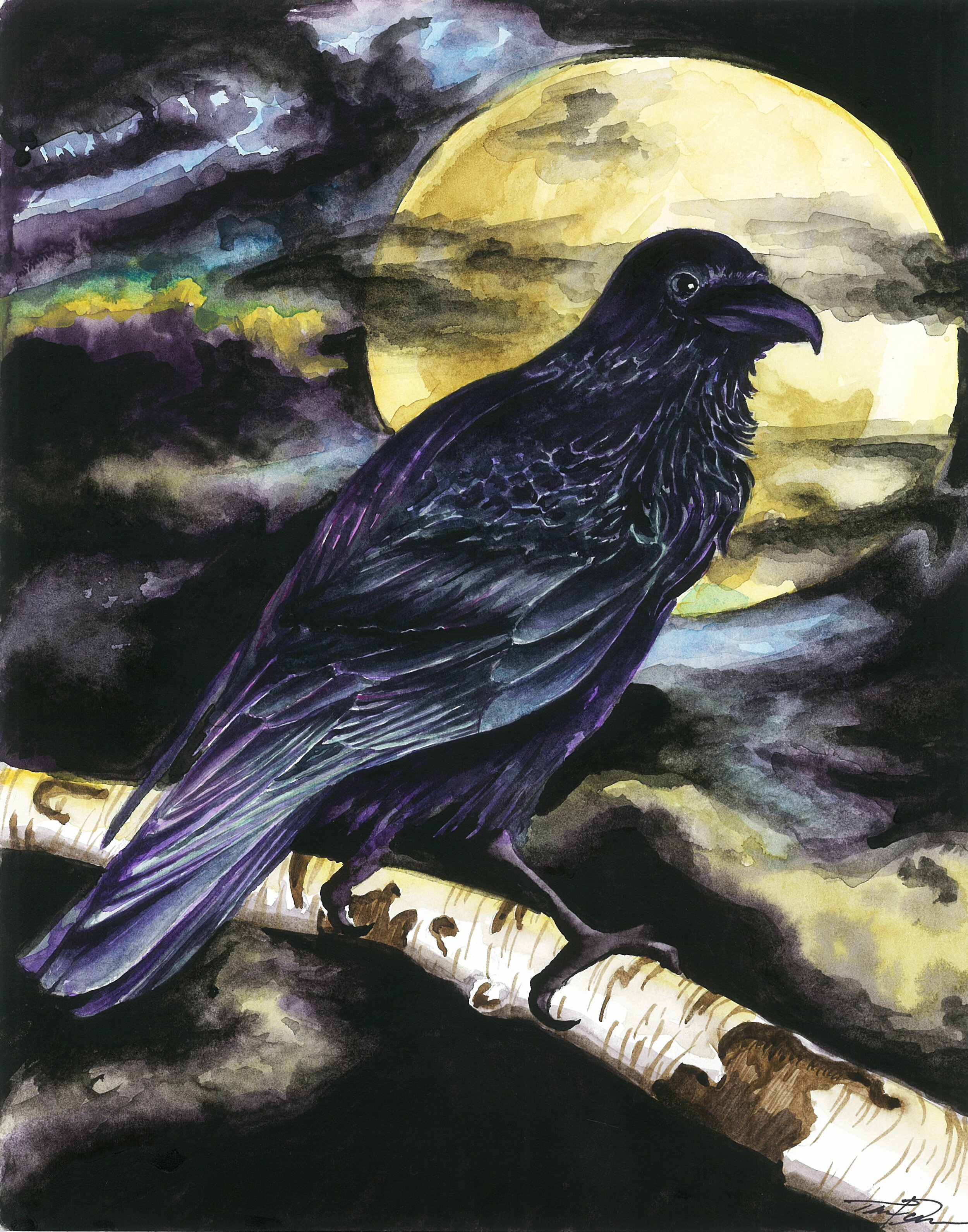 Raven