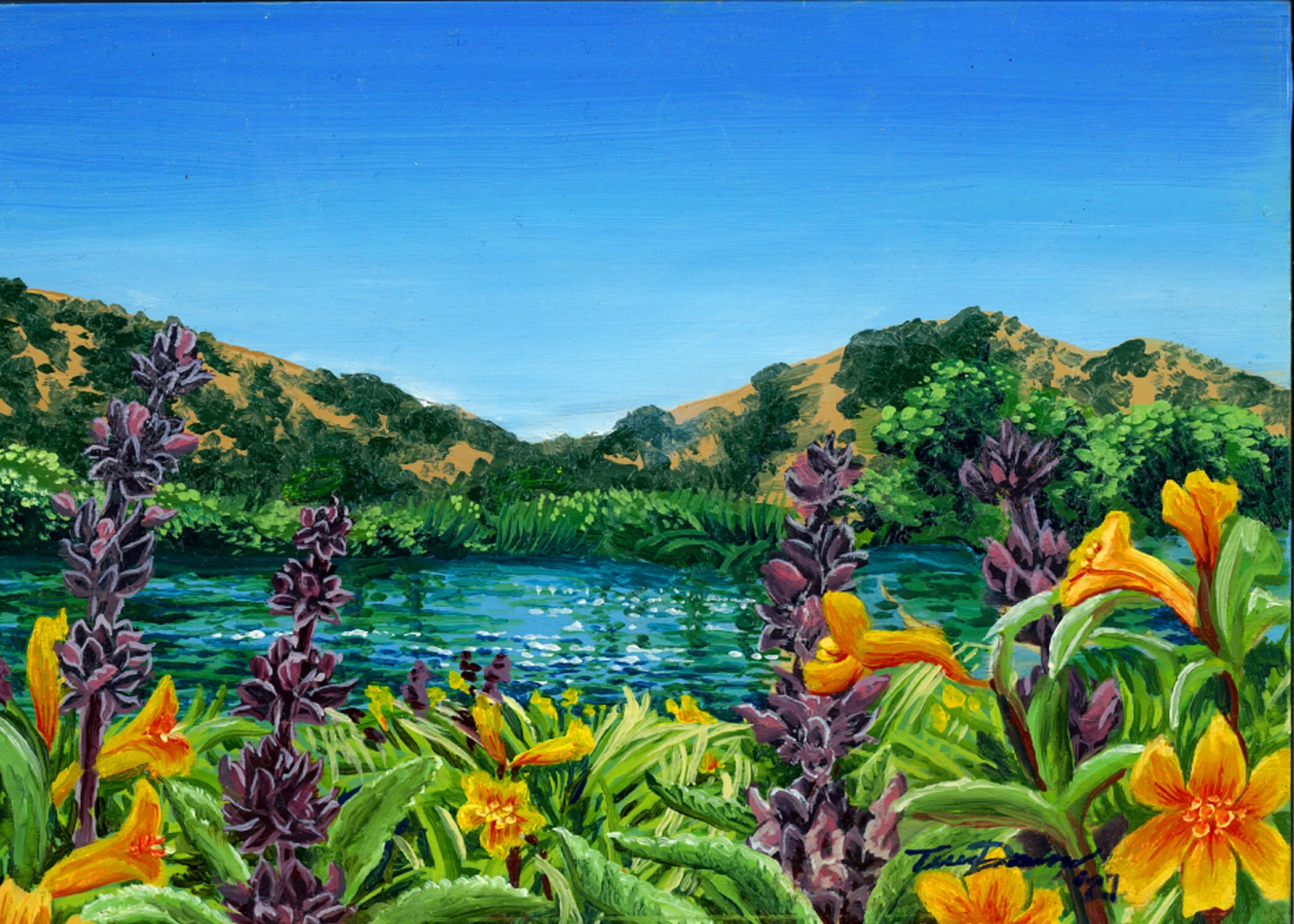 Putah Creek copy.jpg