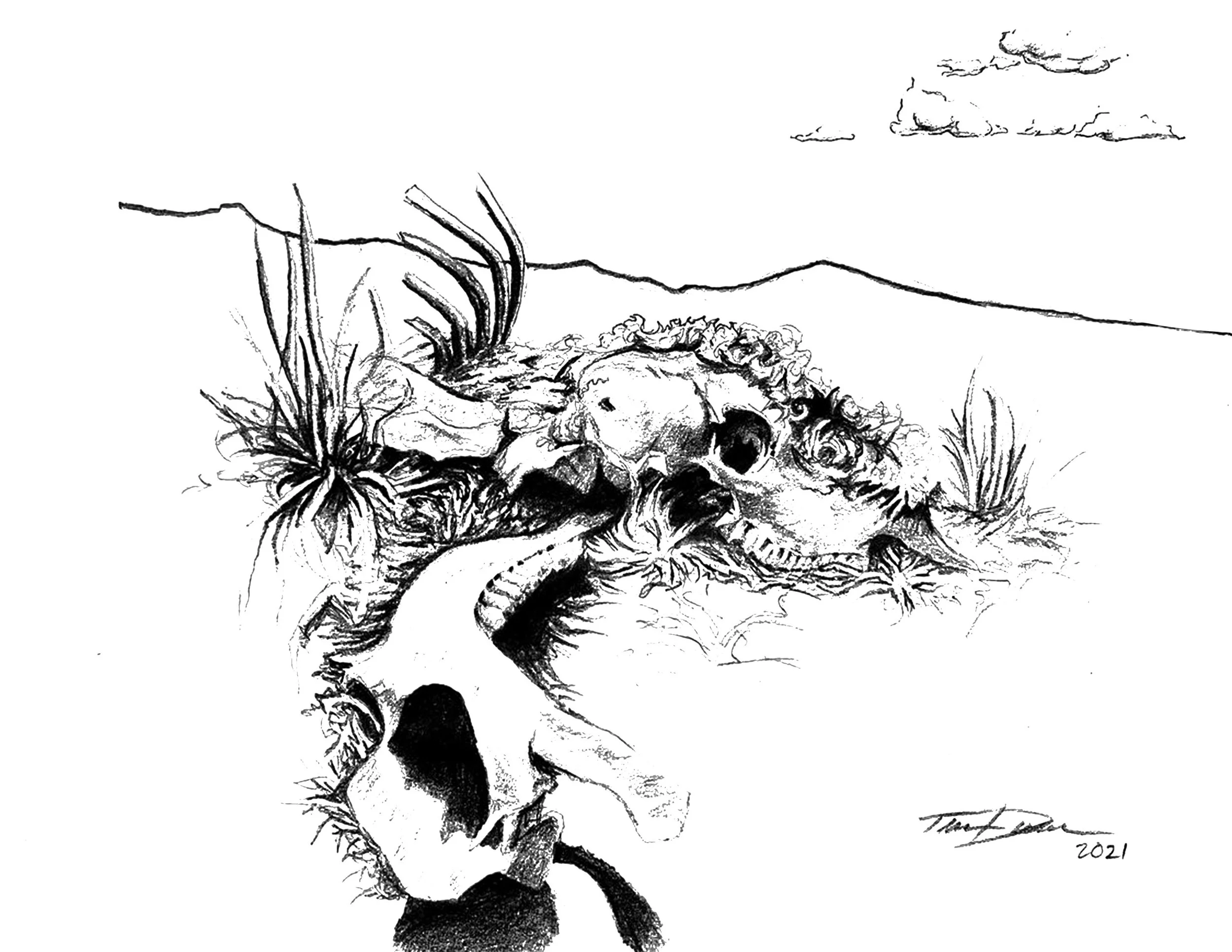 Desert Remains copy.jpg