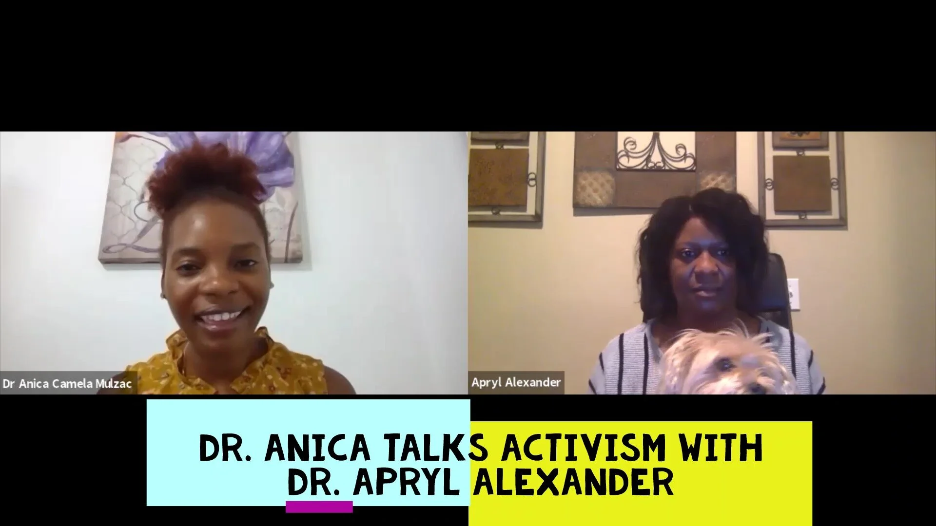 Dr. Anica Talks Activism with Dr. Apryl Alexander