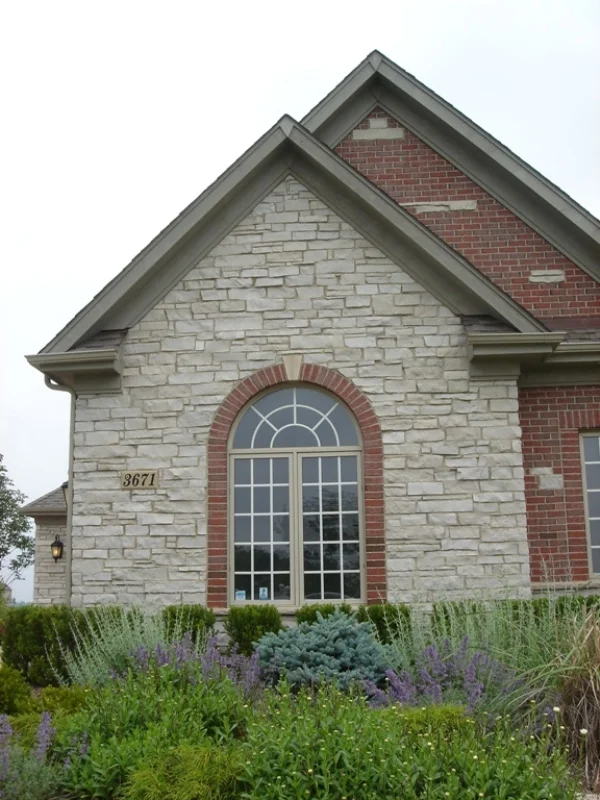 Wisconsin Limestone - Elgin
