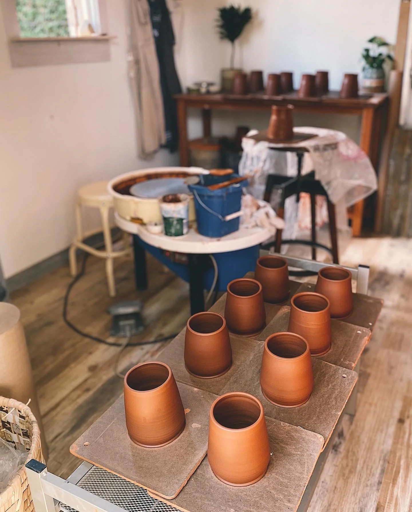 reflecting / envisioning