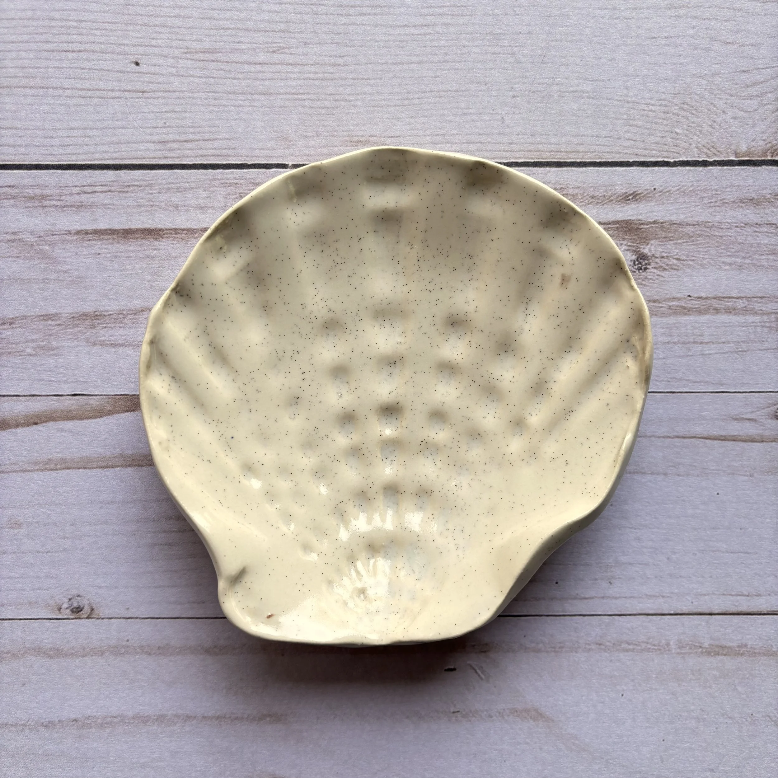 shell dish - stone