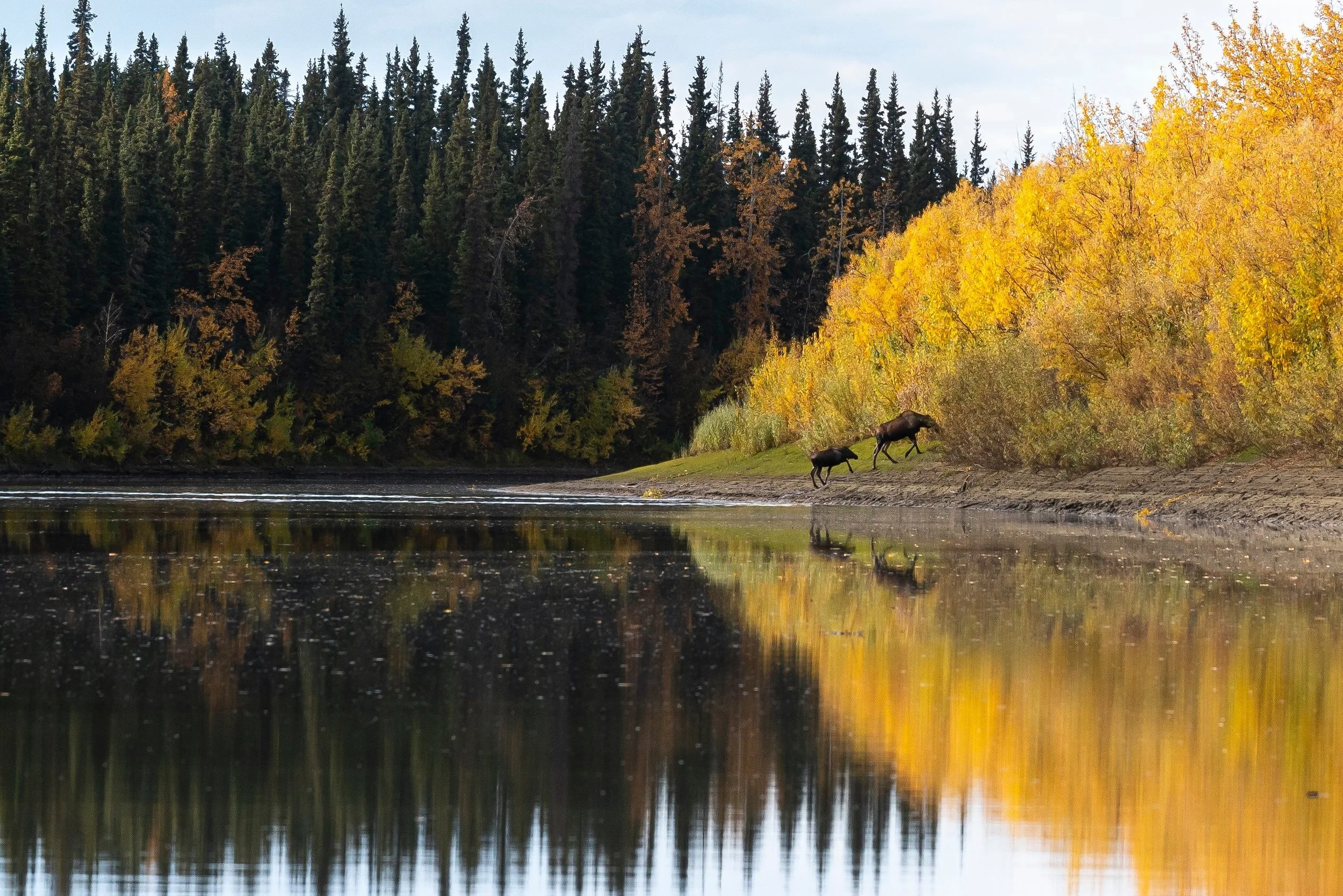 AlaskaHunt-22.jpg