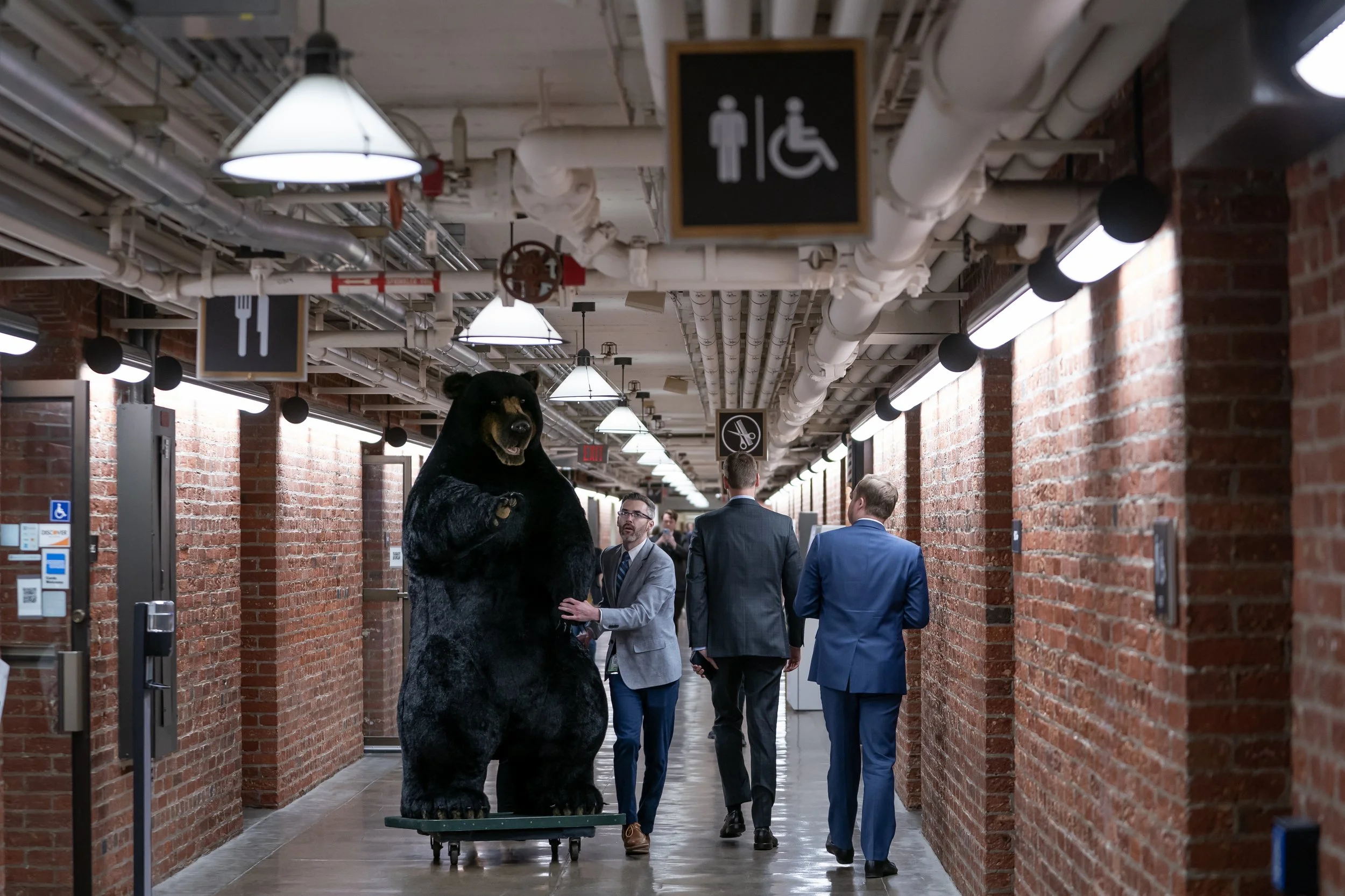  Staff members with U.S. Sen. Jeanne Shaheen's (D-NH) office push a stuffed bear through a hallway of Capitol Hill on June 12, 2024 in Washington, DC. A stuffed moose named "Marty the Moose" and a stuffed bear named "Kodak the Bear" will be on displa