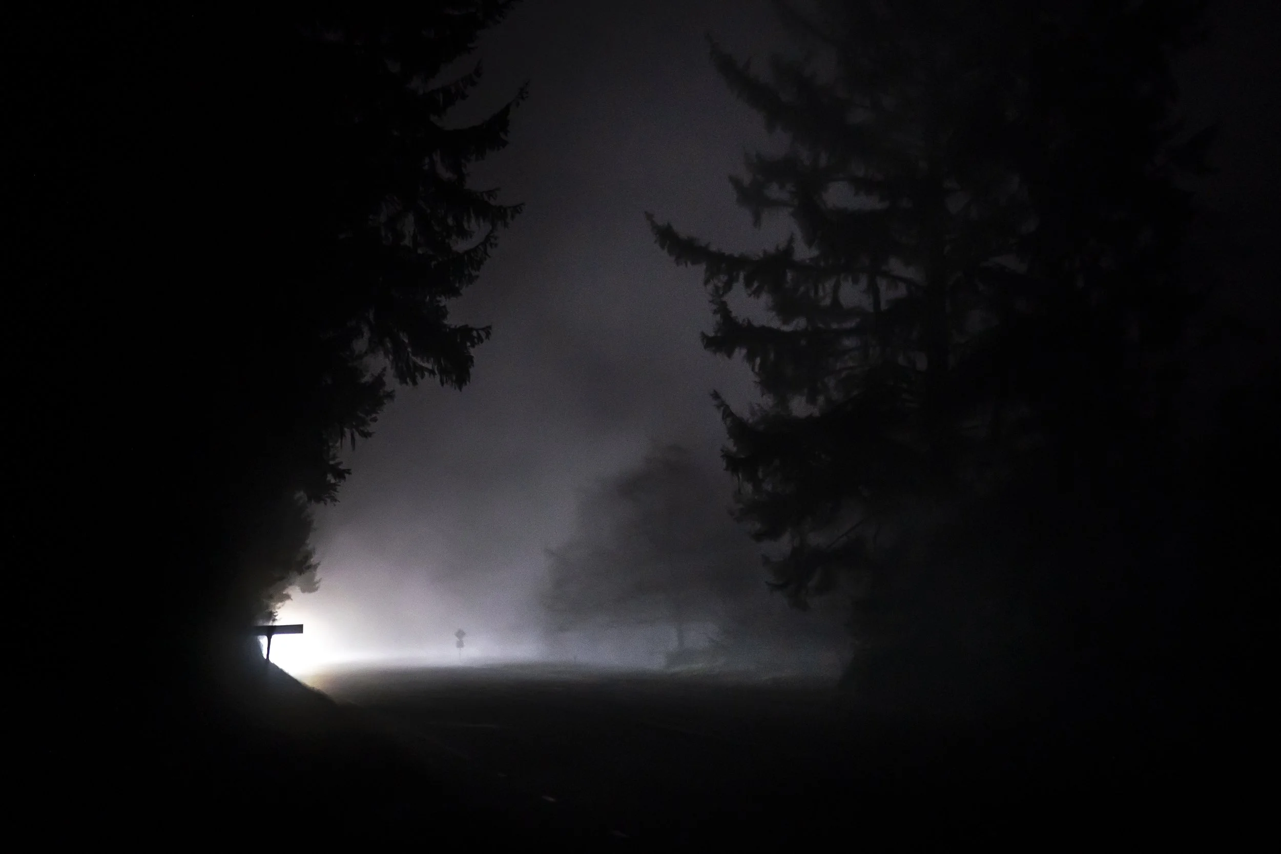  A vehicle’s headlights are seen through the fog along a section of U.S. Highway 101 near the town of Klamath on January 21, 2022. Despite fresh leads and community efforts, Emmilee’s case remains inactive and Emmilee is still missing.  
