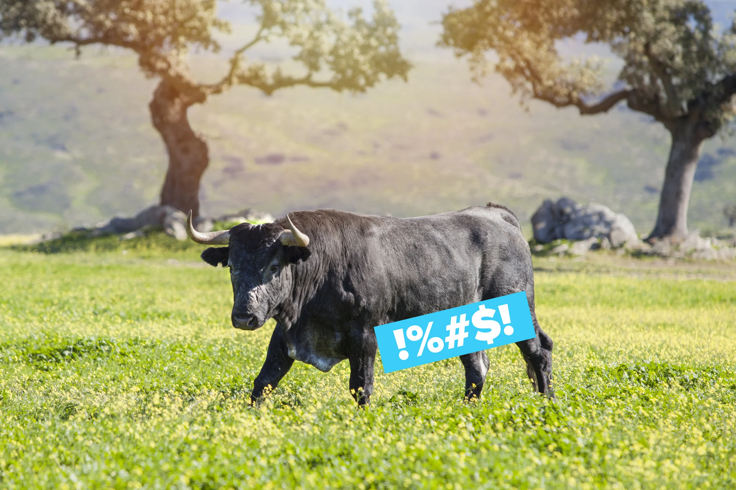 iStock-652792542.jpg