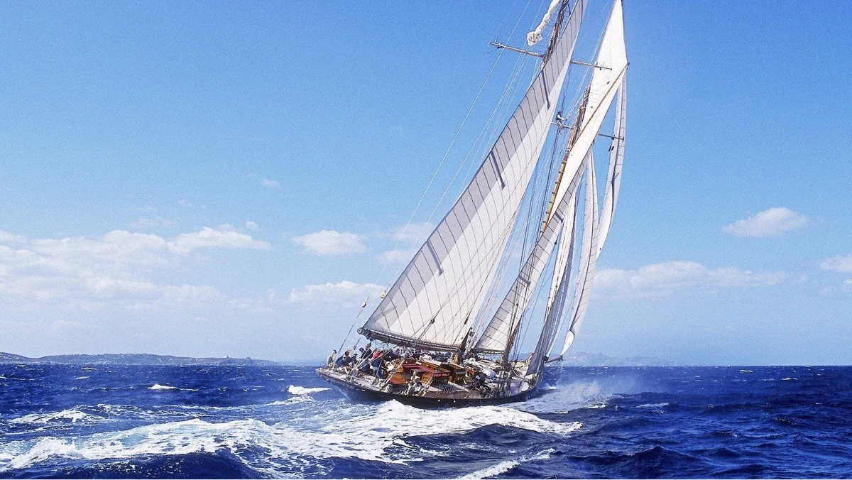 20150624.jpg