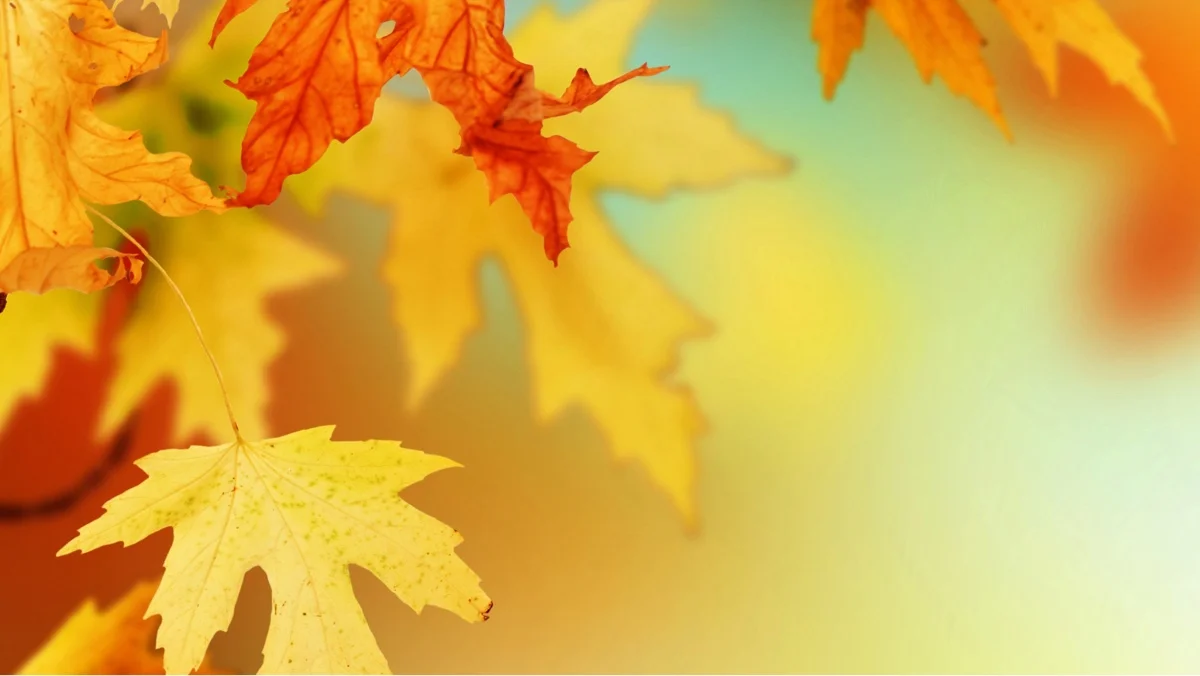 20141022.jpg