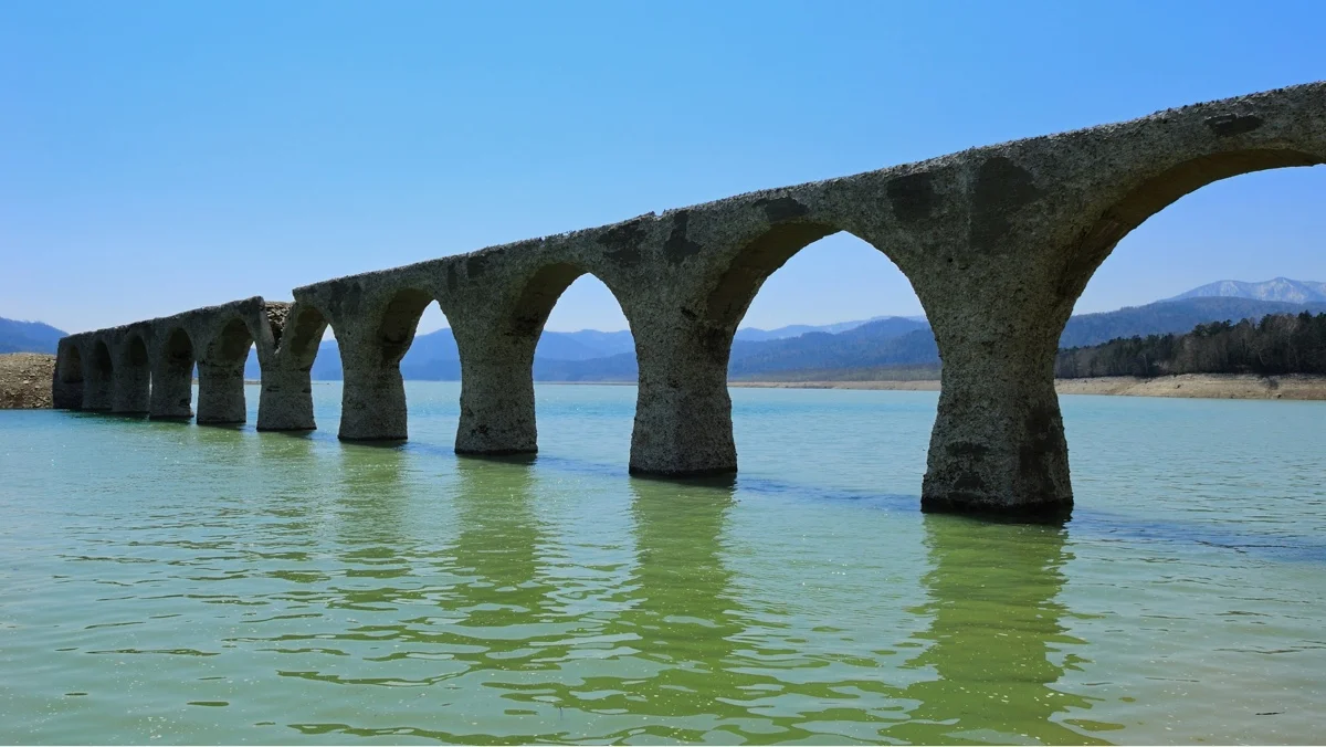 20130814.jpg