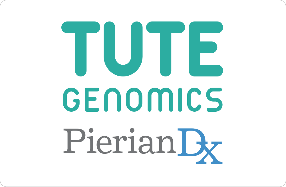 journey-november-2016-tute.png