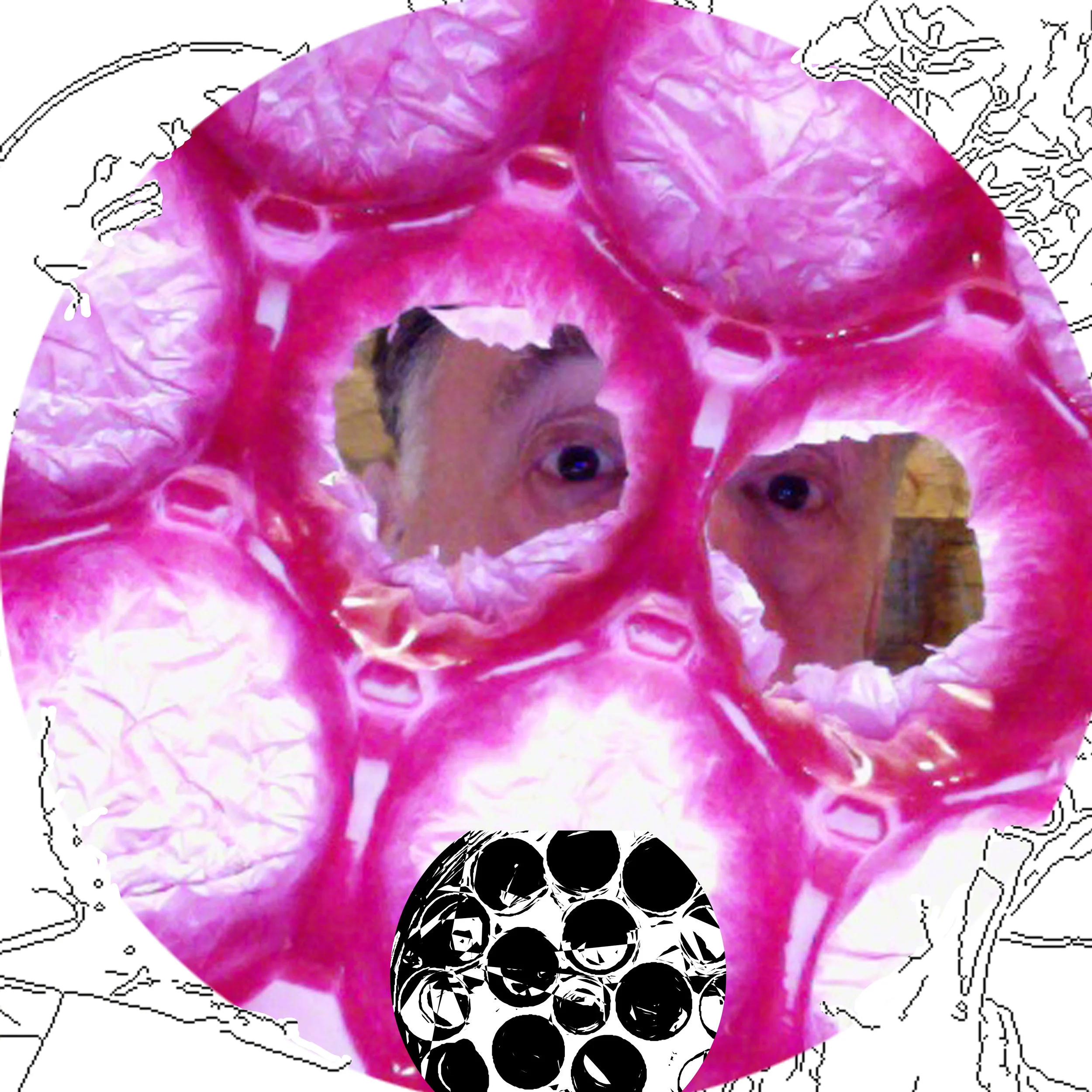 Packaging Myself: Pear Cushions