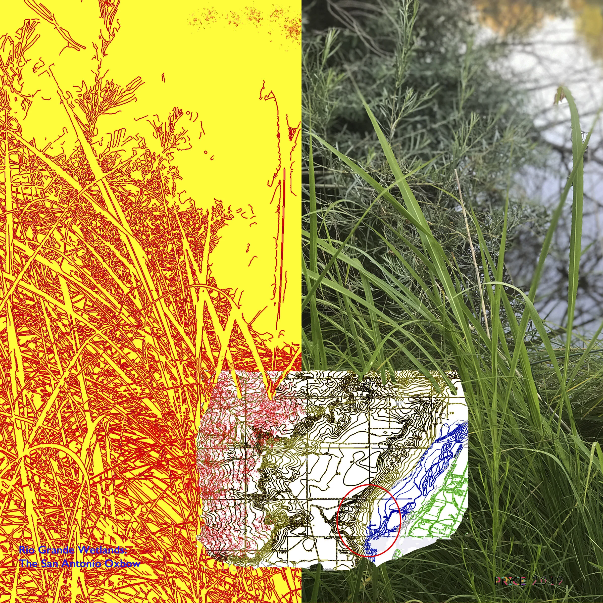 The Rio Grande Wetlands: Entangled in the Oxbow