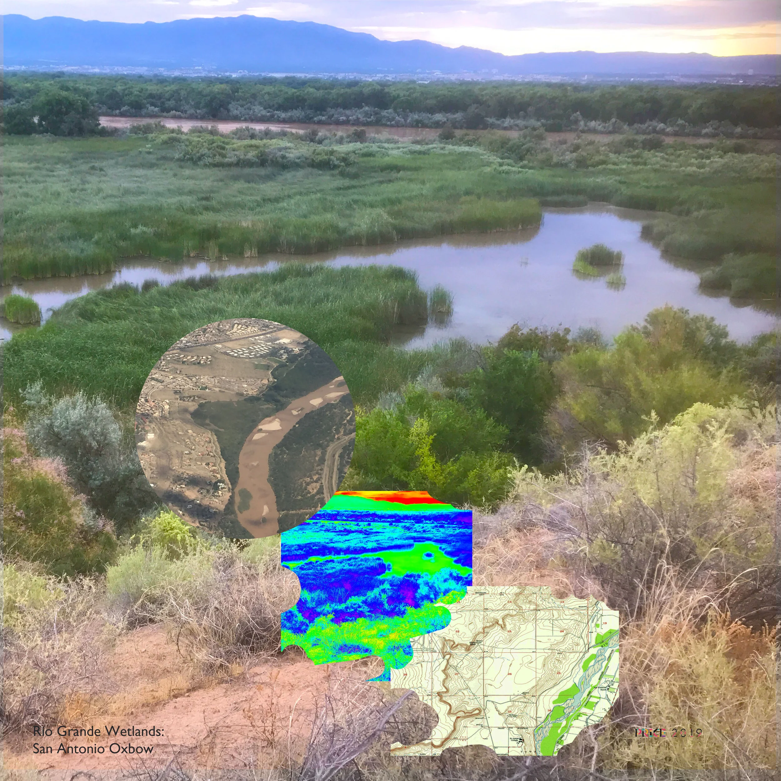 The Rio Grande Wetlands: View from the Bluff