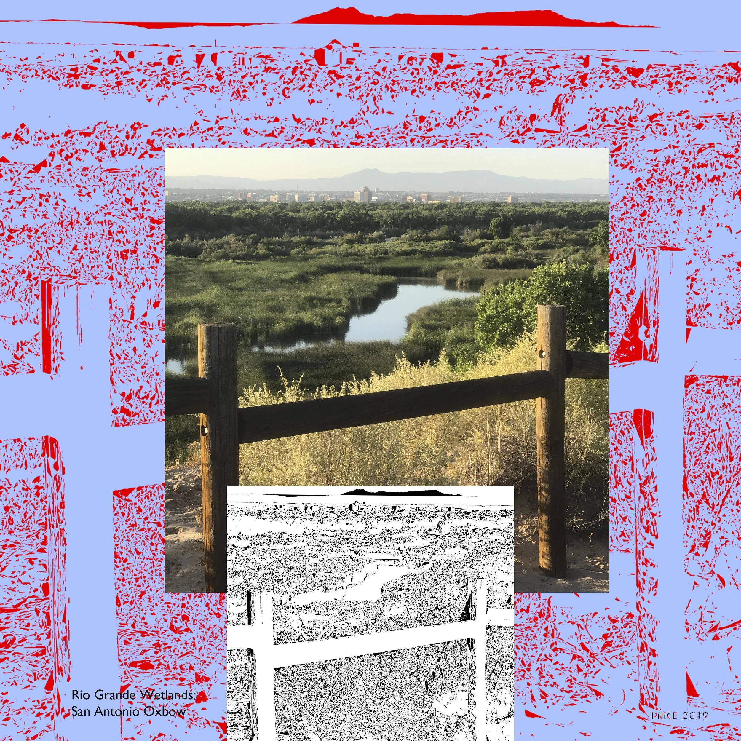 The Rio Grande Wetlands: Through the Fence