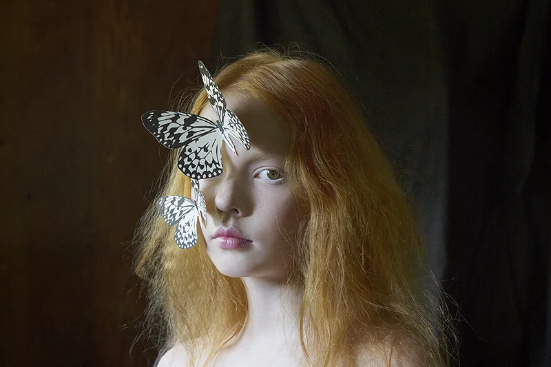 Papillon1_3-1.jpg